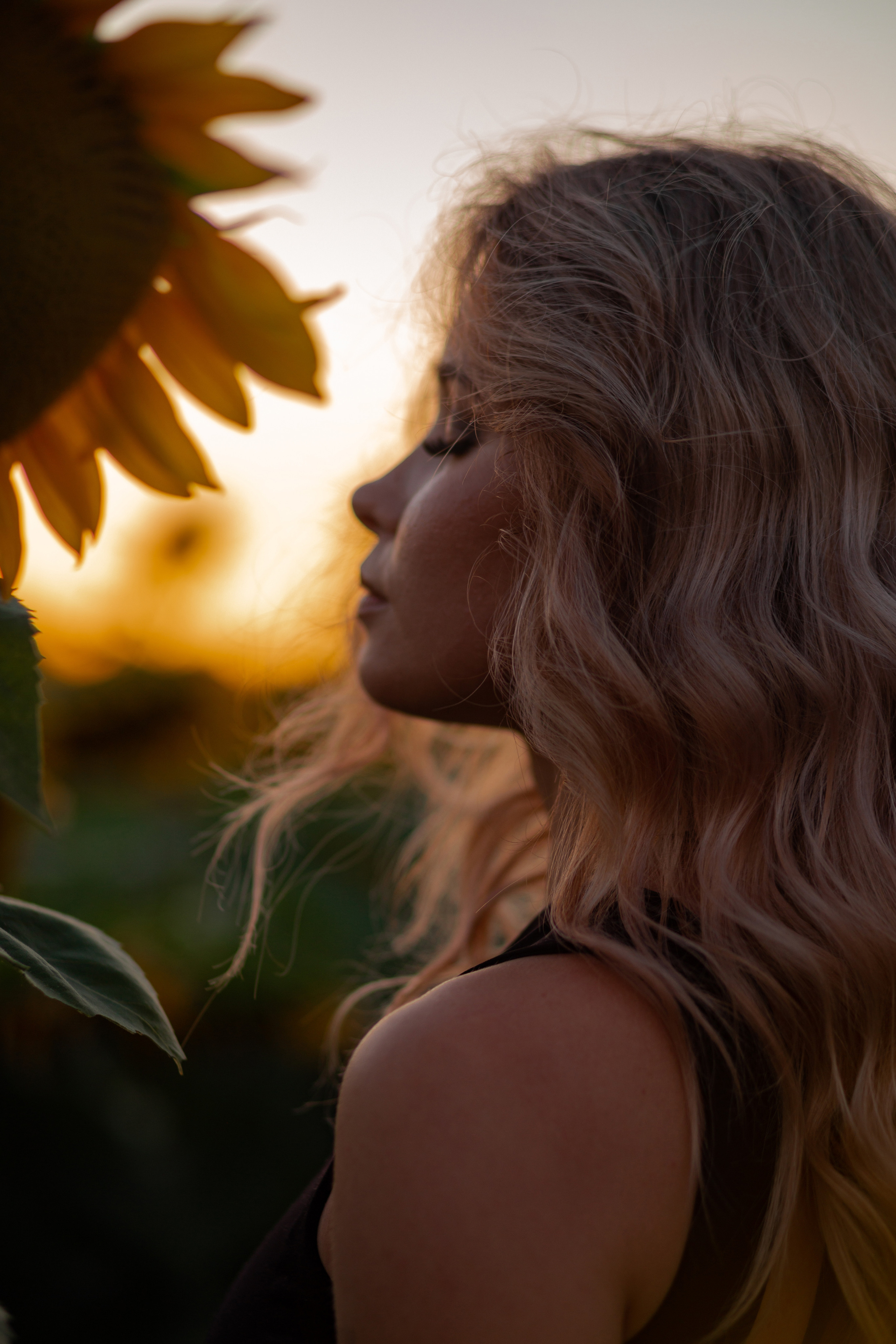 Подсолнухи…. Фотограф Неверова Катерина