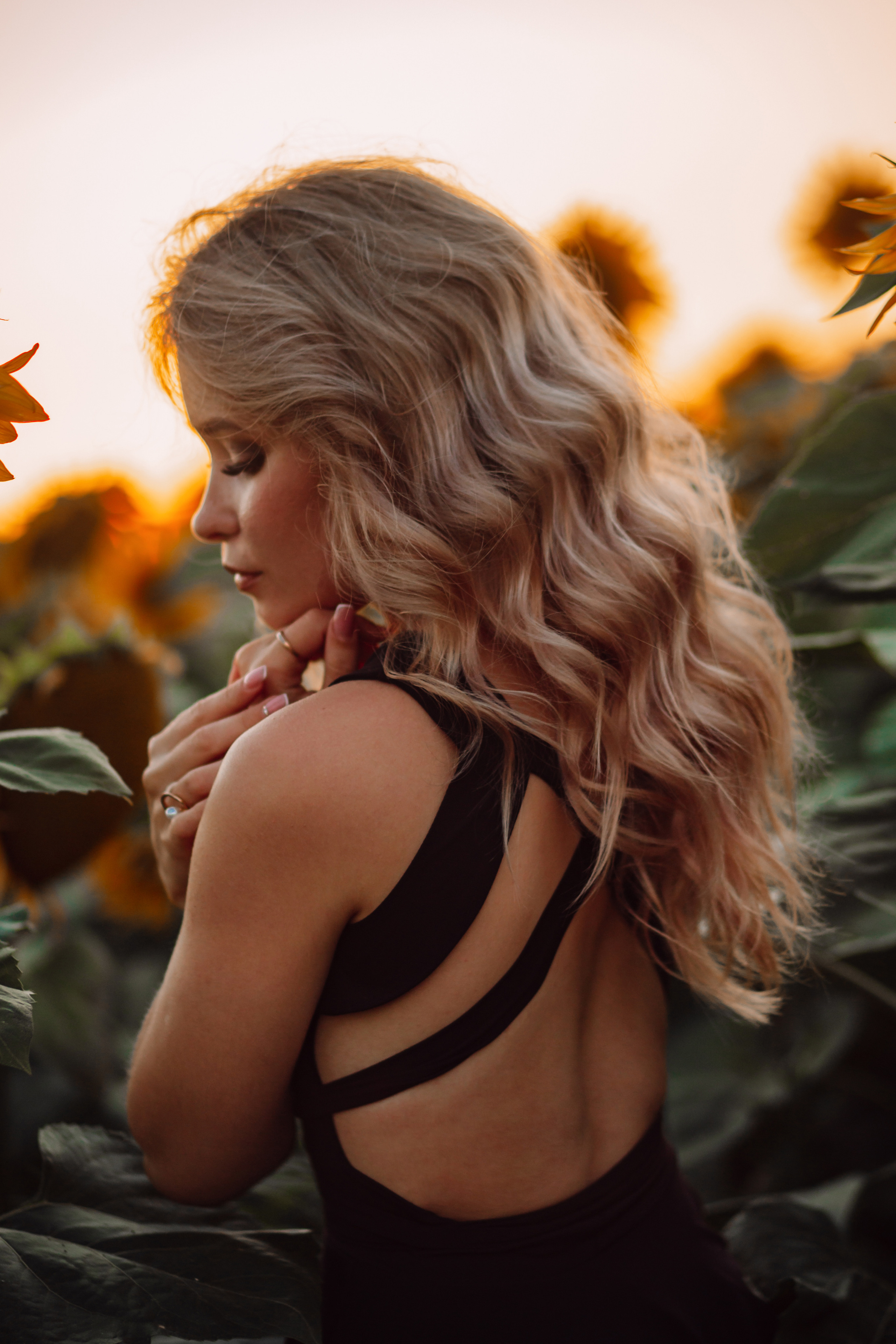 Подсолнухи…. Фотограф Неверова Катерина