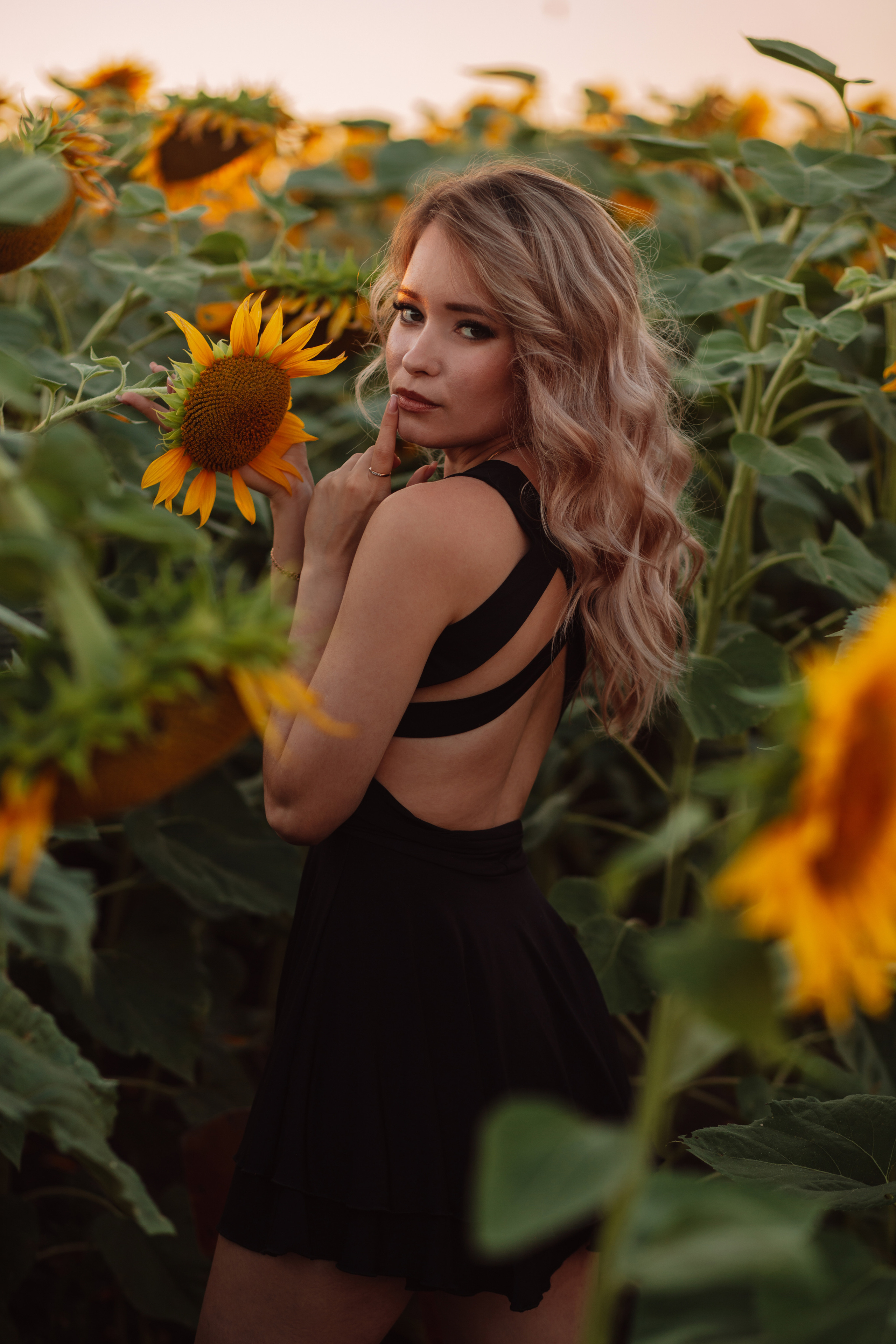 Подсолнухи…. Фотограф Неверова Катерина