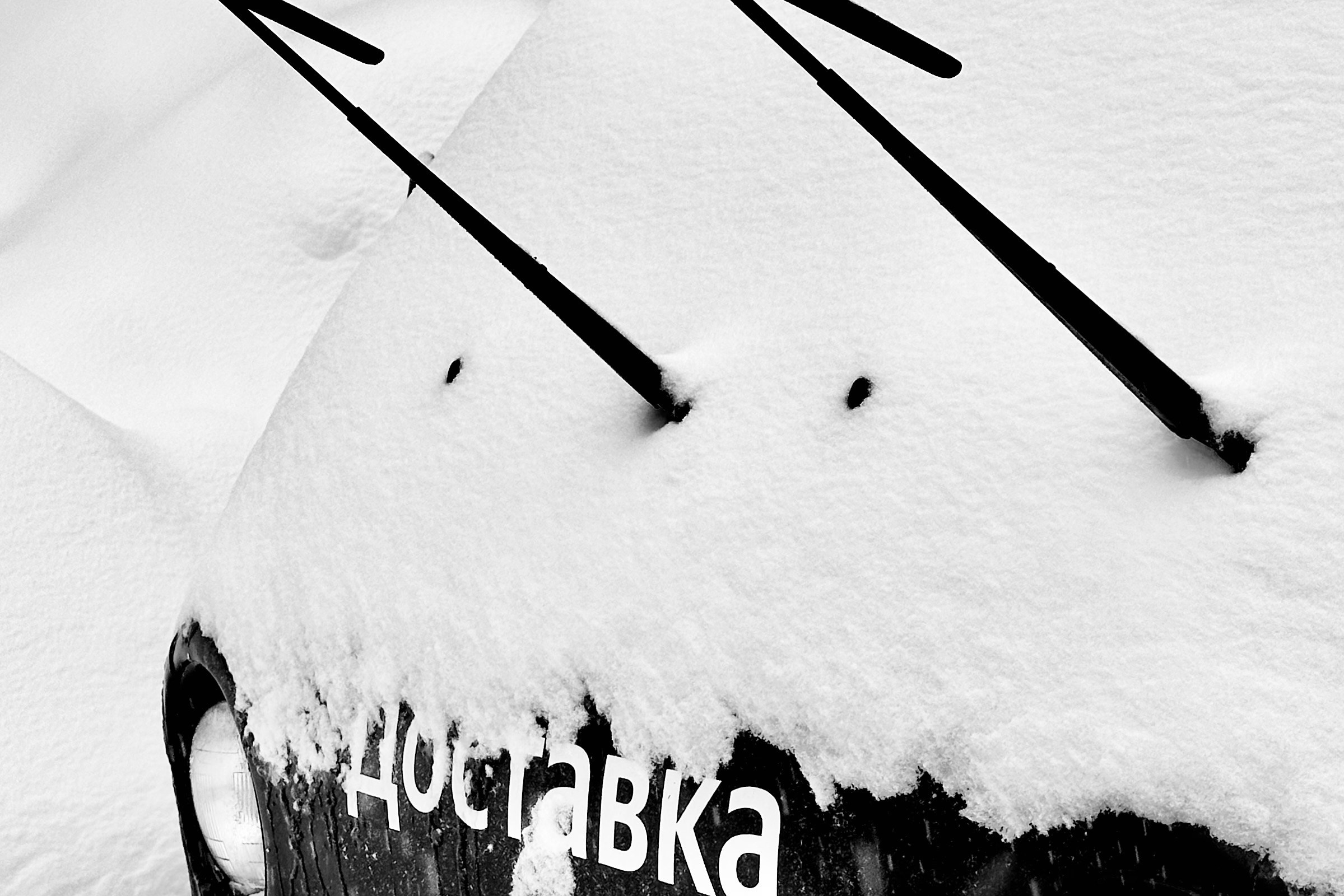 Чёрно-белая зима 25-26. Фотосессии и репортаж — Фотограф в Москве — Рина Серёгина