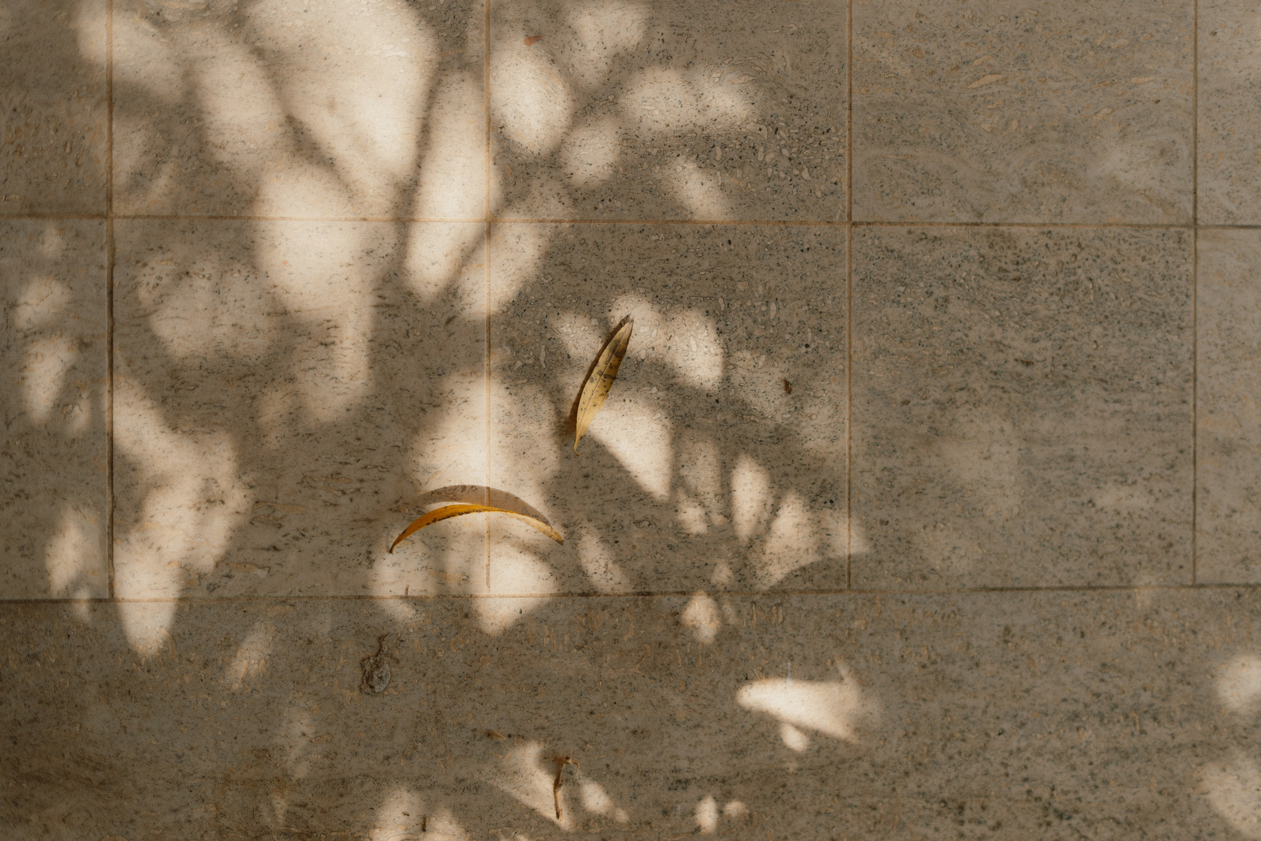 Relais Villa Isabel | Pietrasanta