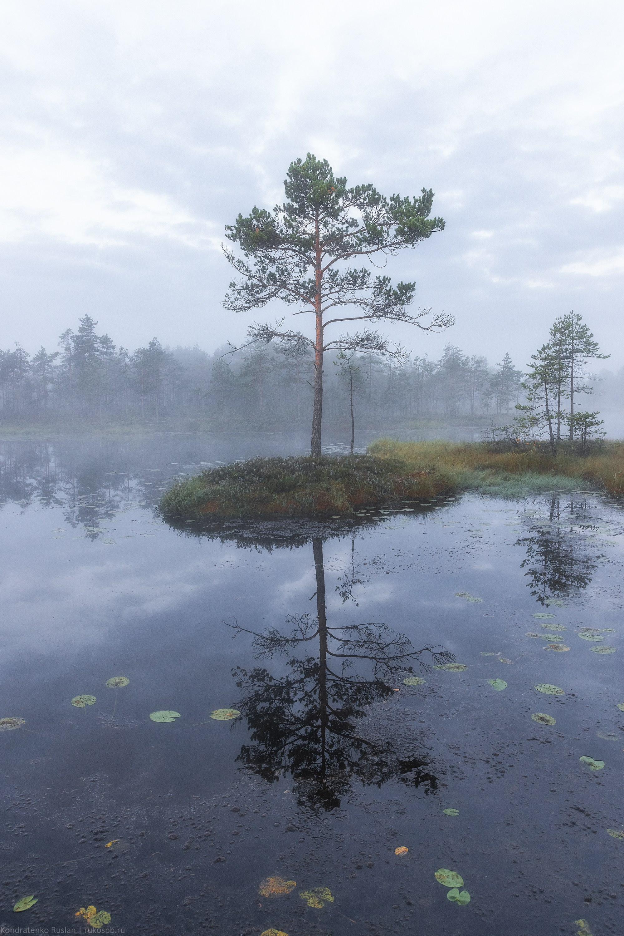Ленинградская область. Архитектурный и пейзажный фотограф Кондратенко Руслан, Санкт-Петербург