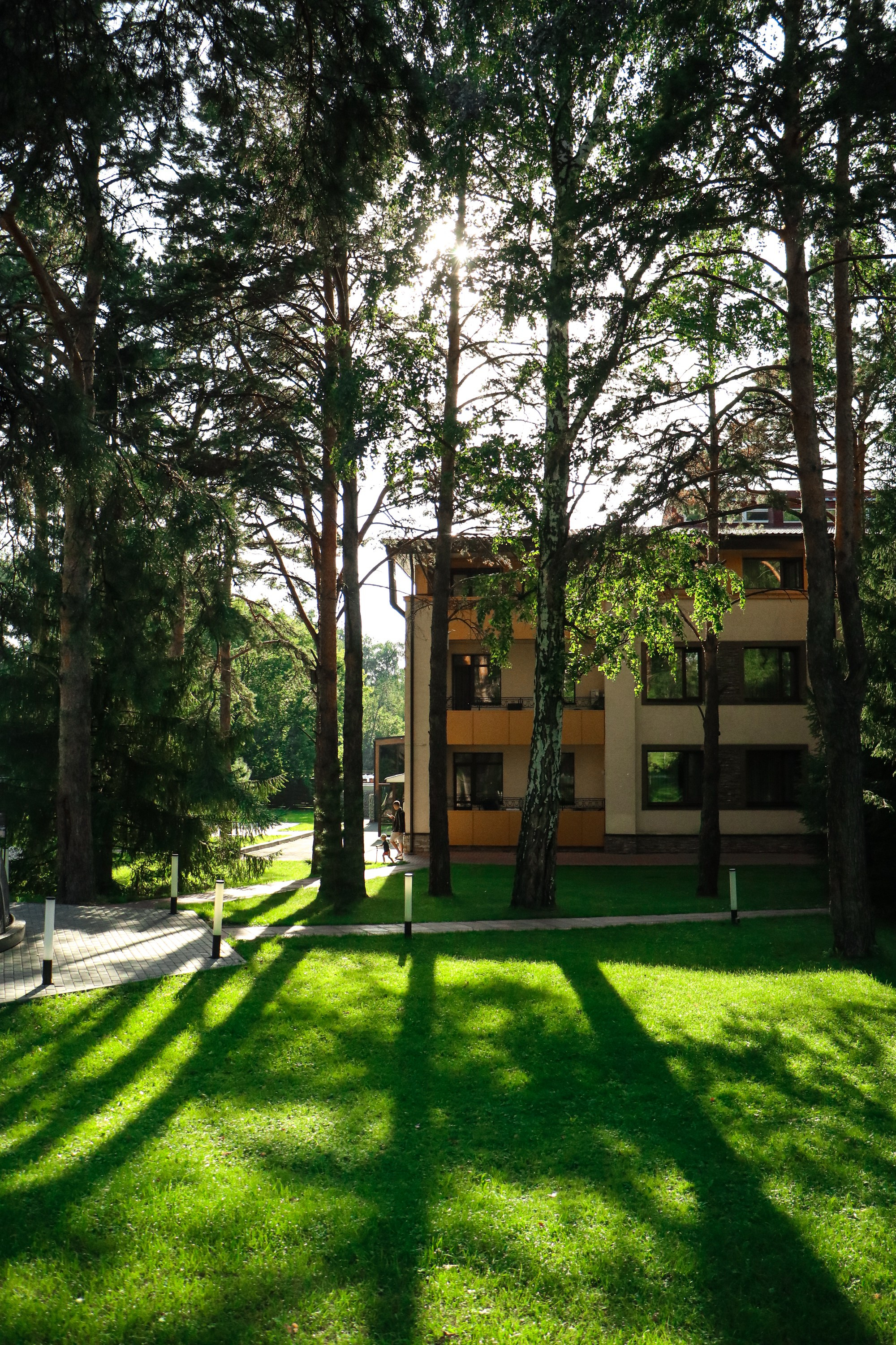 «Сосновый Бор» парк-отель г. Новосибирск. Контент фотограф Дмитрий Борисов