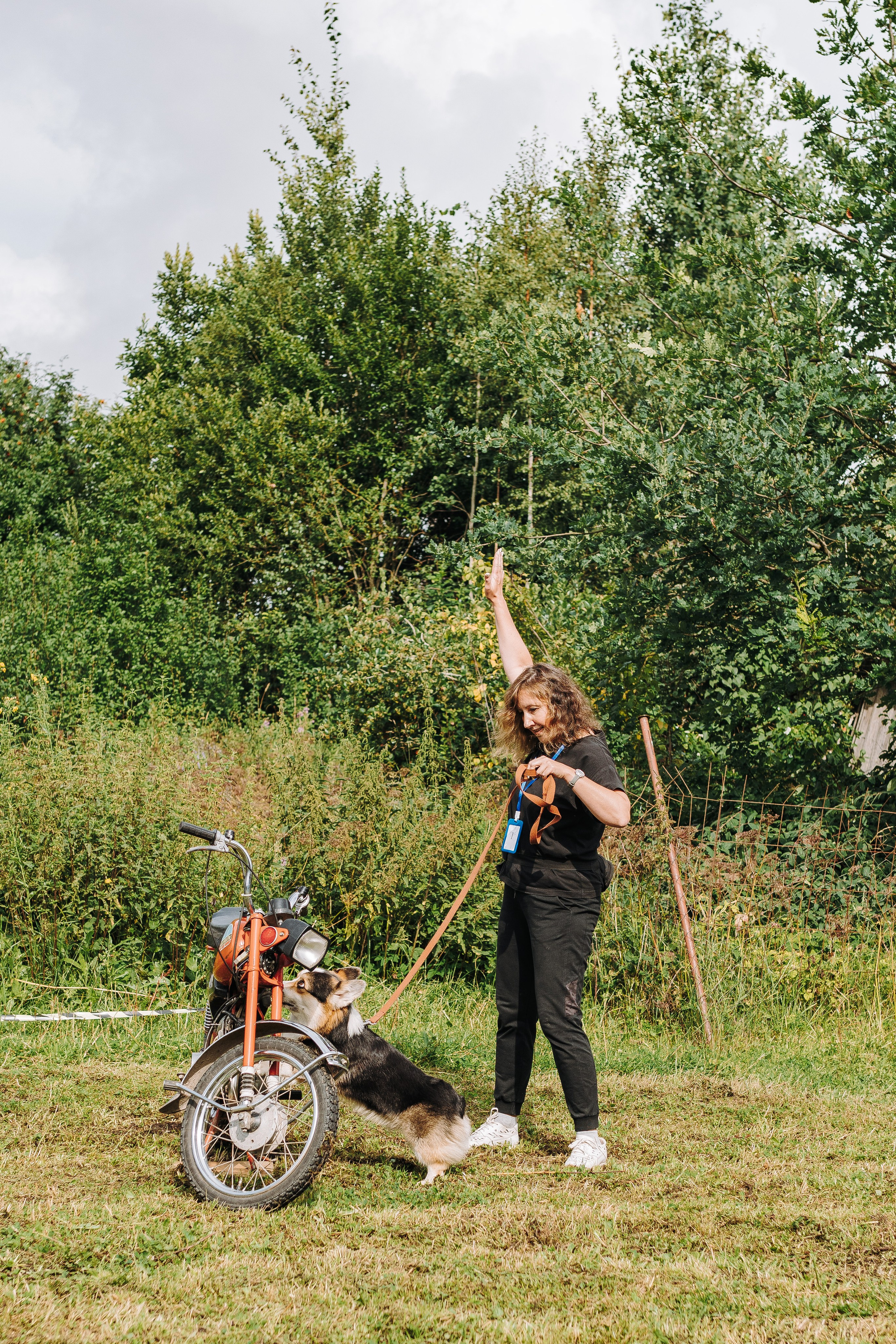 Соревнования по ноузворку в Новожилово. Фотограф анималист в Спб недорого Олеся Майорова