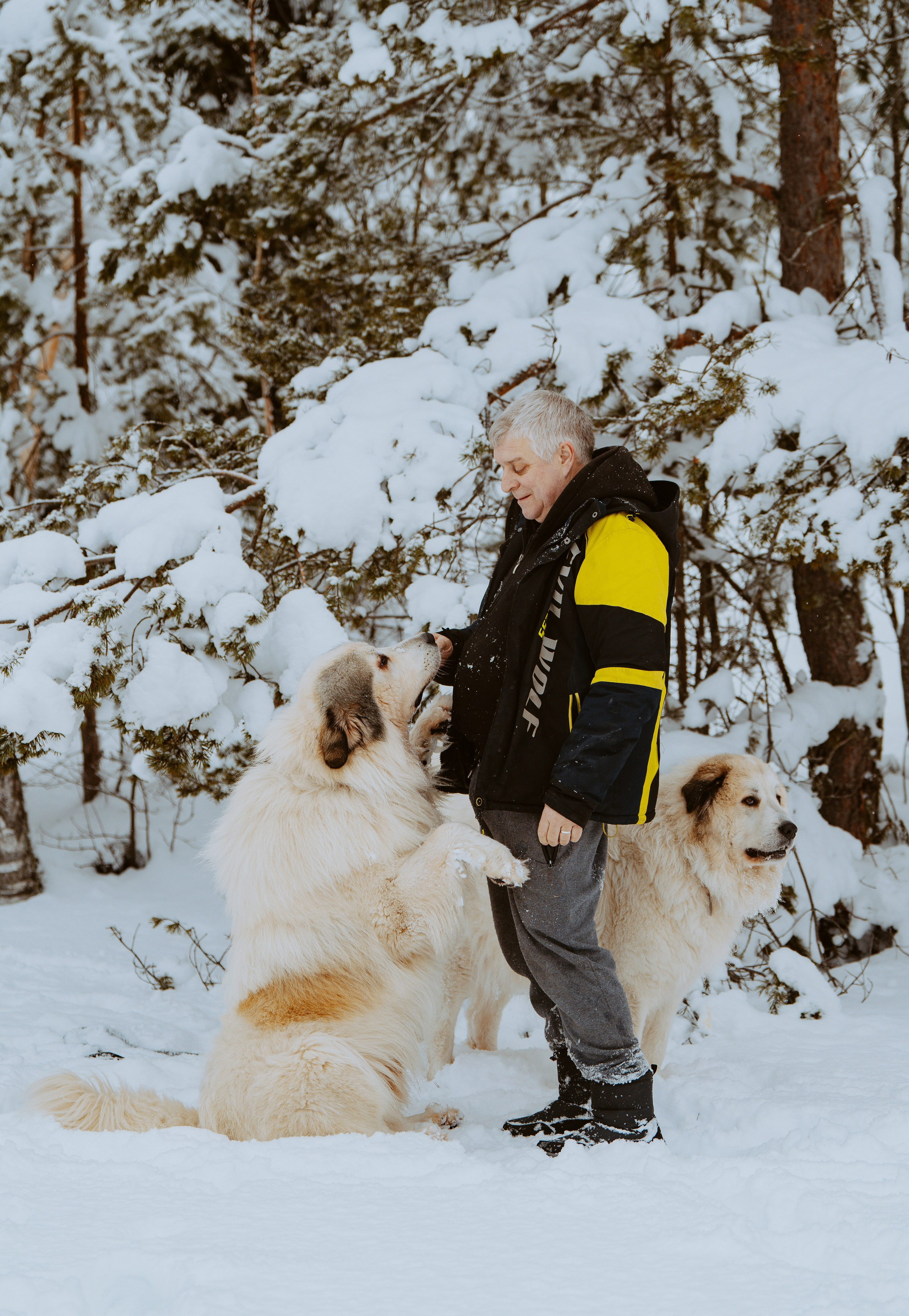 Фотограф питомцев в Санкт-Петербурге. Фотограф анималист в Спб недорого Олеся Майорова