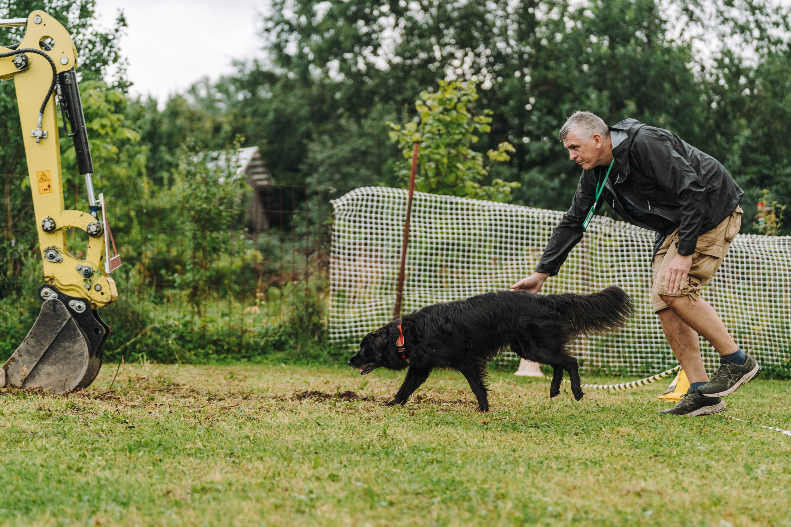 Соревнования по ноузворку в Новожилово. Фотограф анималист в Спб недорого Олеся Майорова