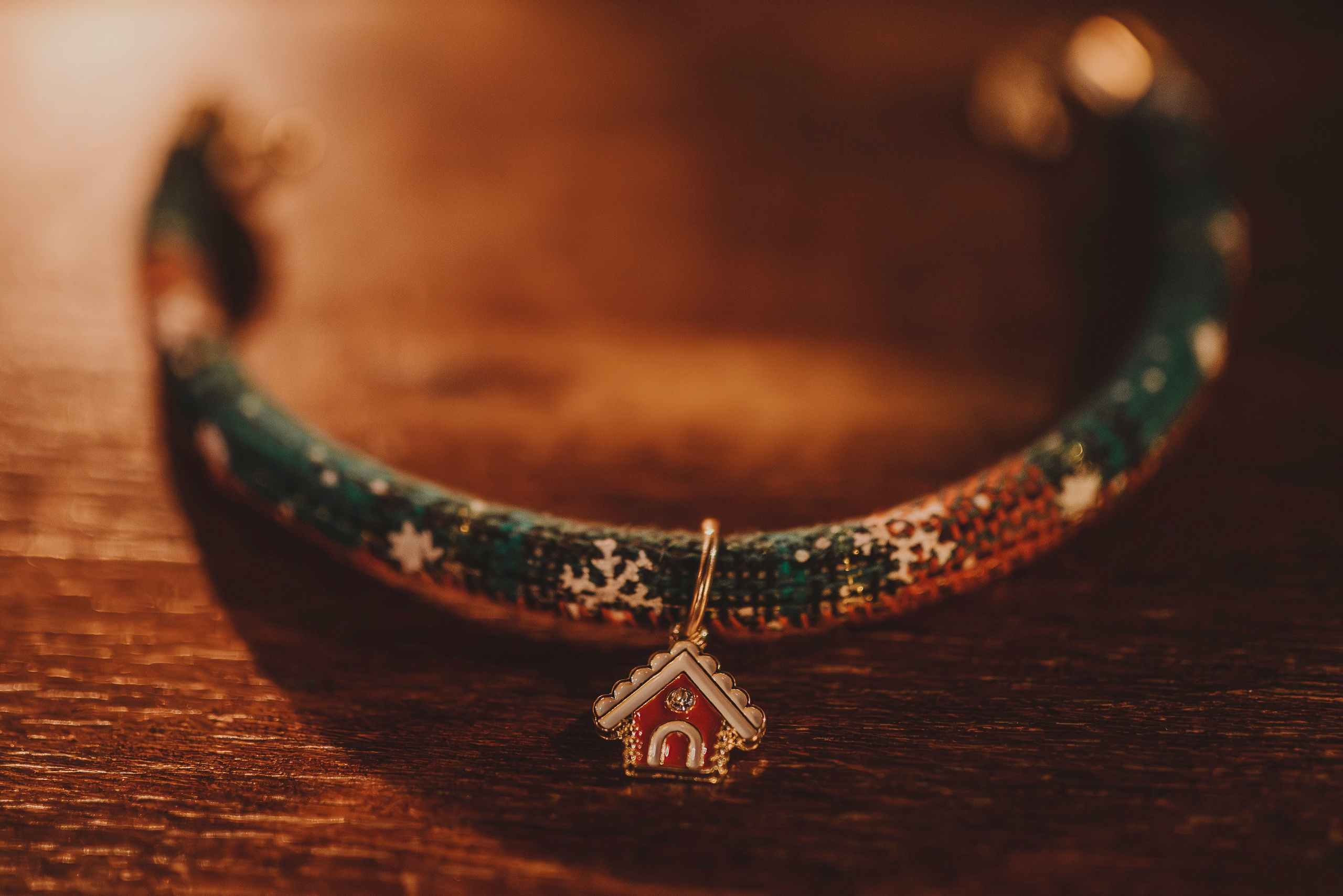 Аня, Андуин и Тесс. Фотограф анималист в Спб недорого Олеся Майорова