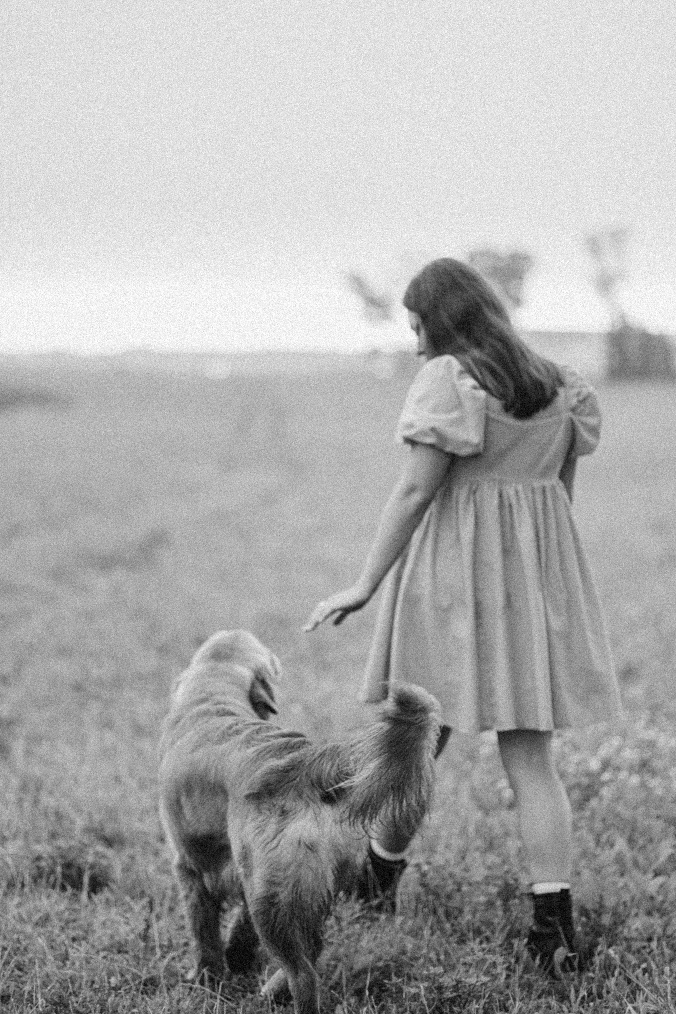 Аня и Ноллан. Фотограф — Анималист | Санкт-Петербург