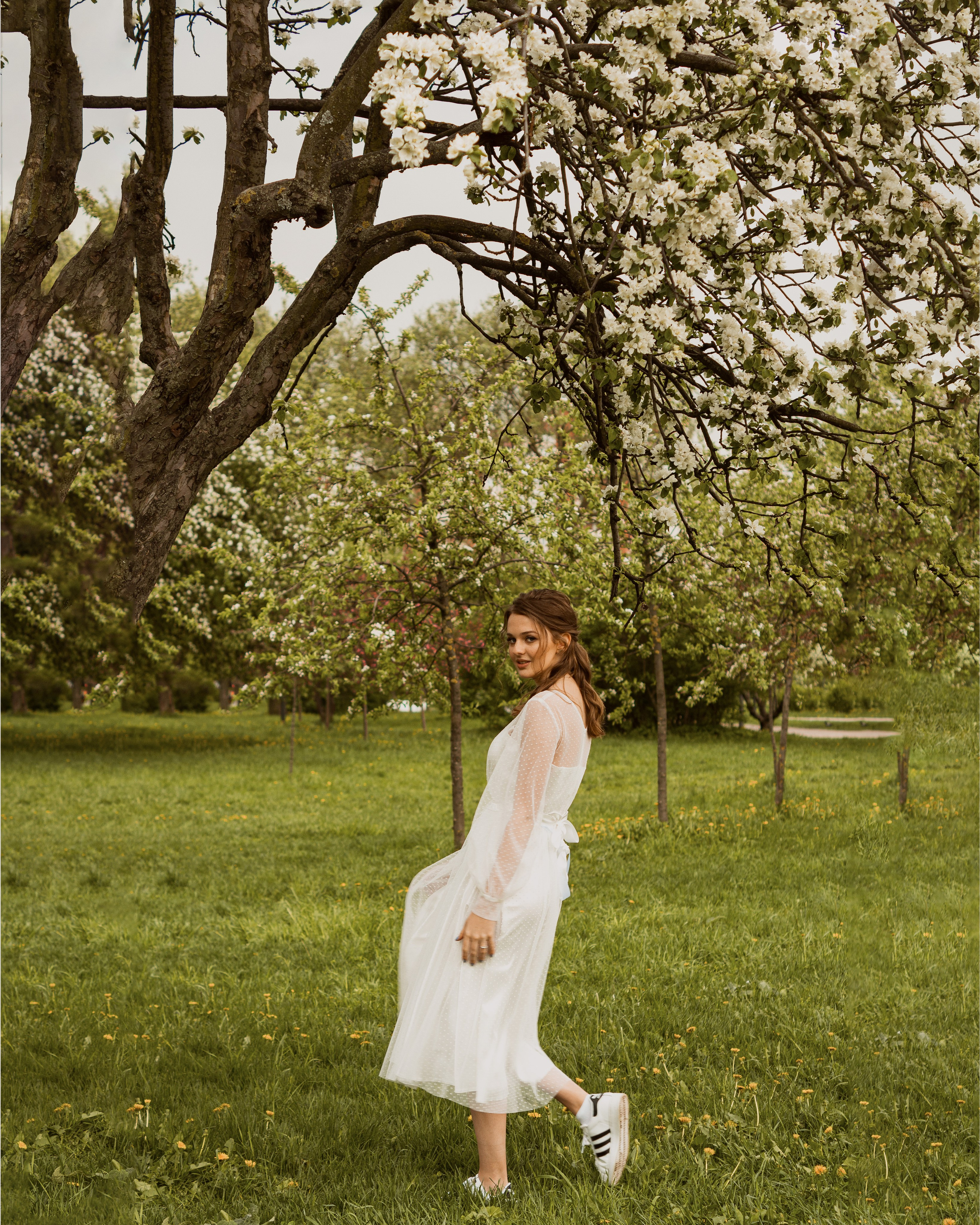 Цветение яблонь и вишни / Свадебная