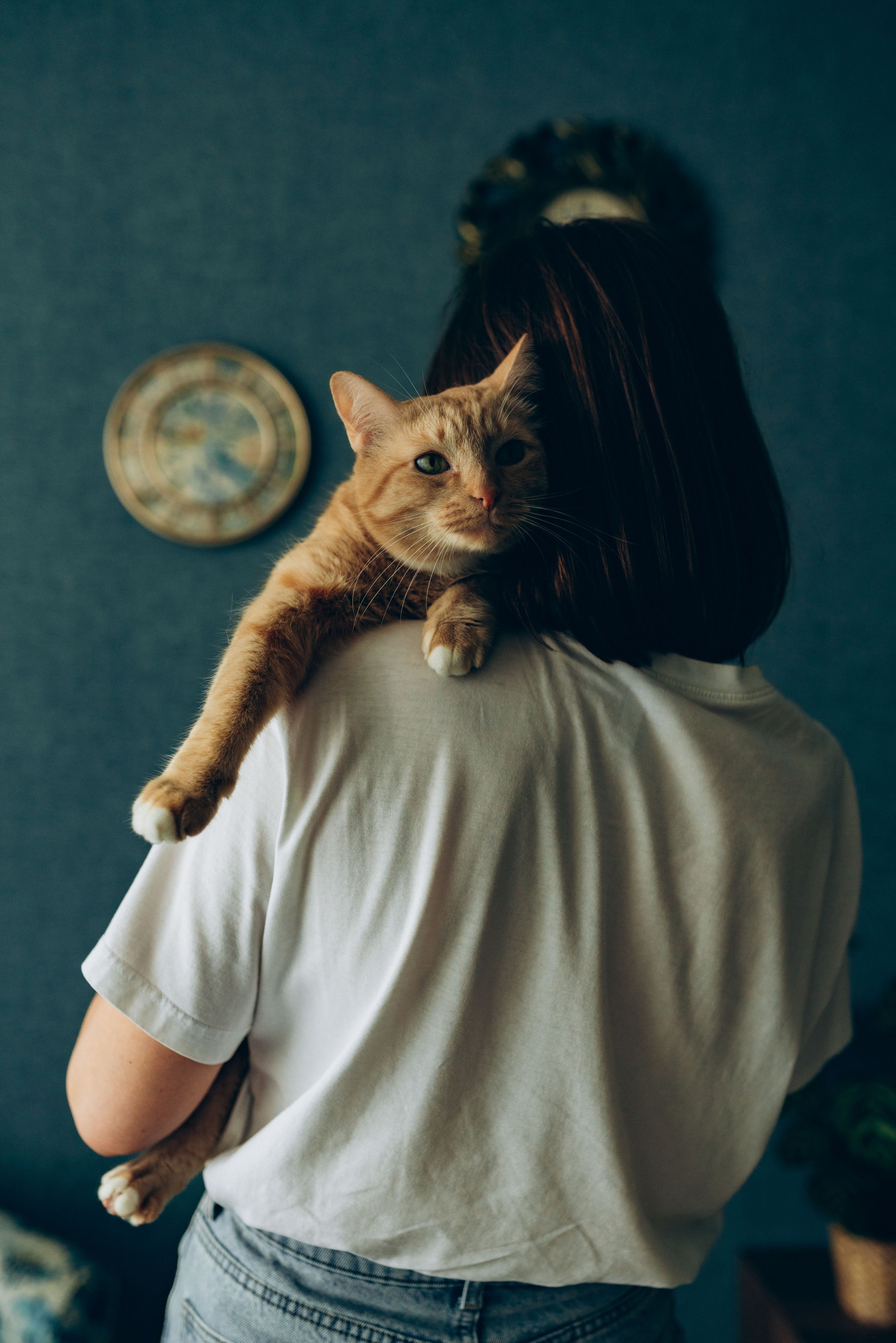 Даша и Брукс. Фотограф анималист в Спб недорого Олеся Майорова