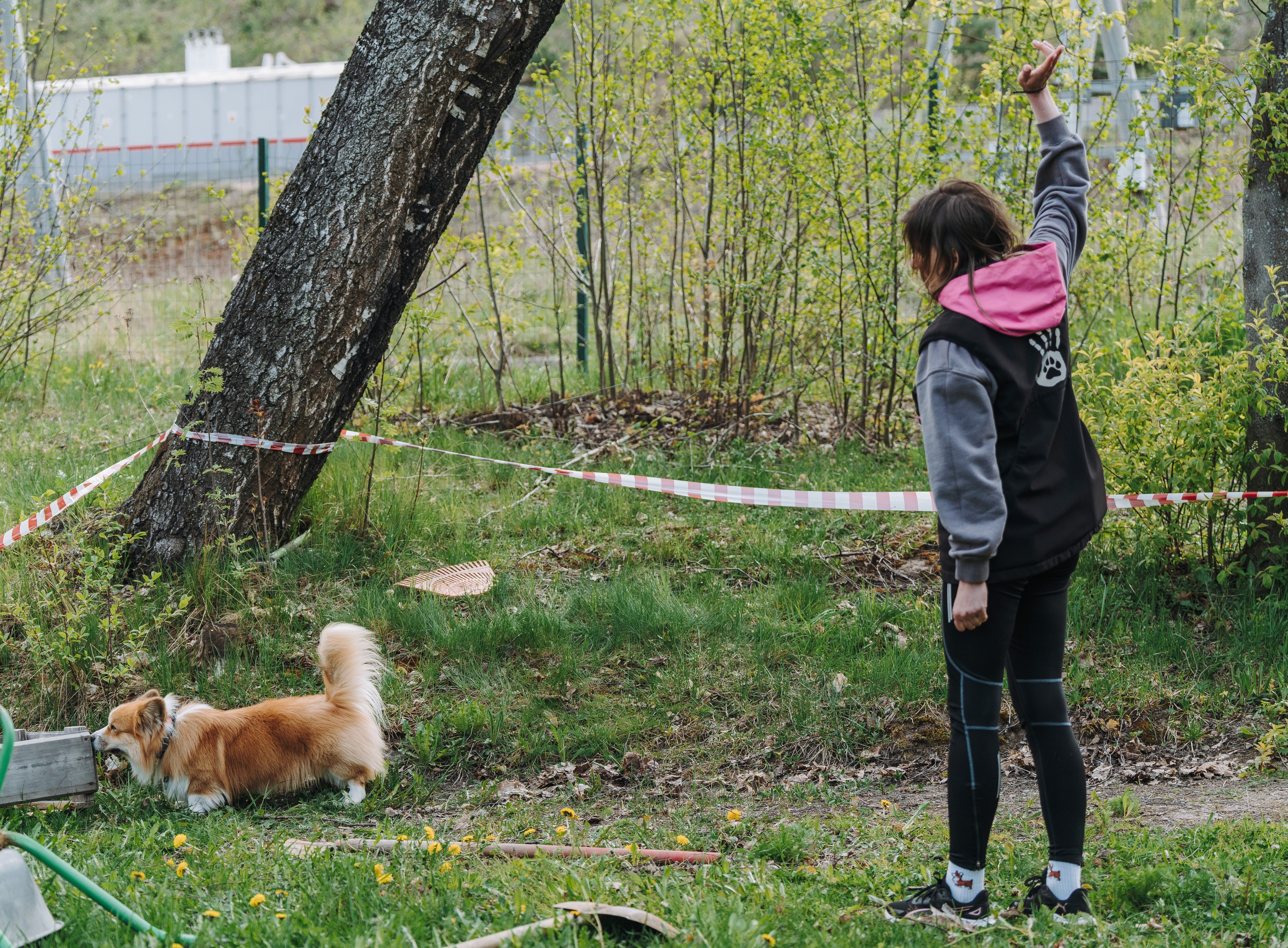 Соревнования по ноузворку в Лосево. Фотограф анималист в Спб недорого Олеся Майорова