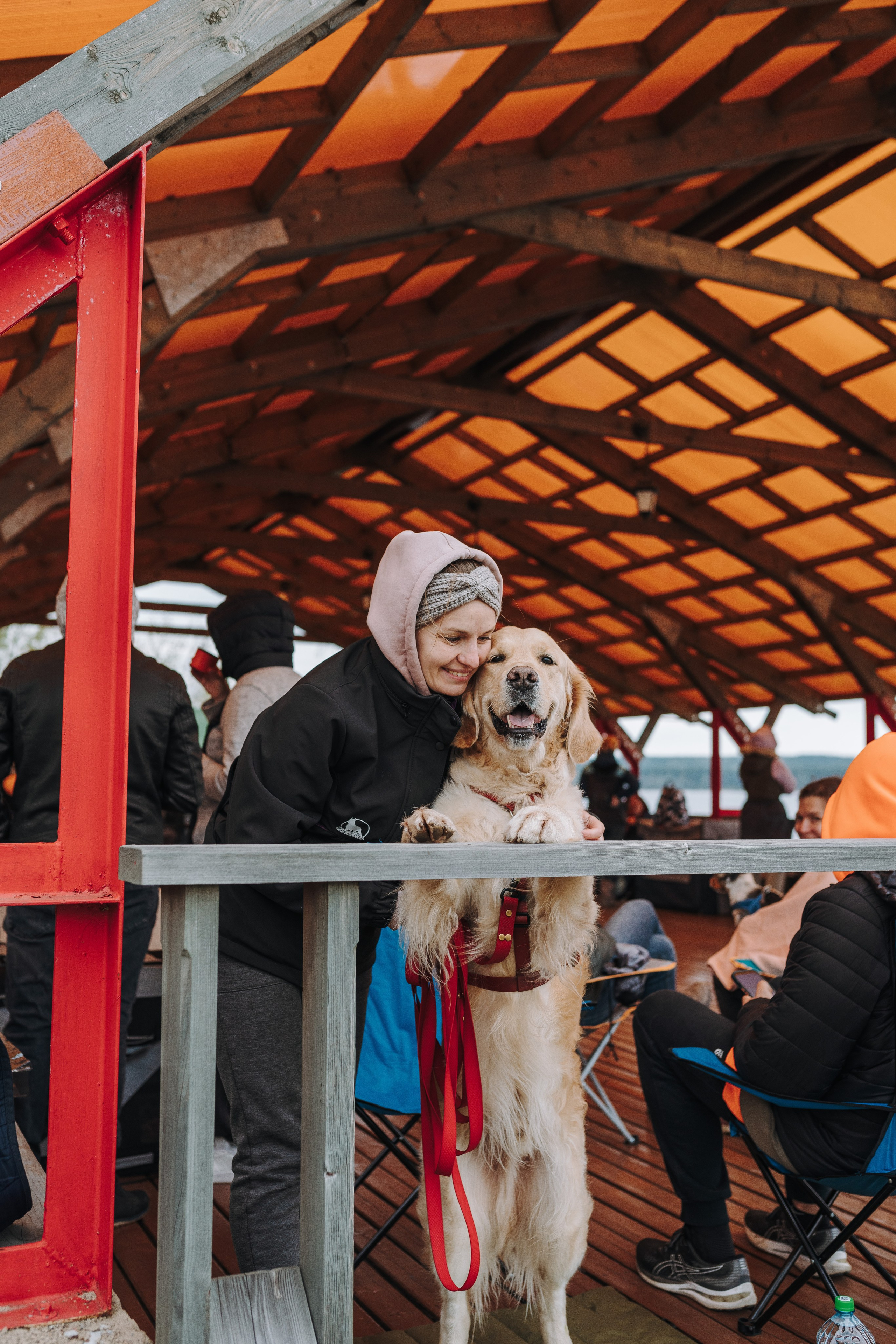 Соревнования по ноузворку в Лосево. Фотограф анималист в Спб недорого Олеся Майорова