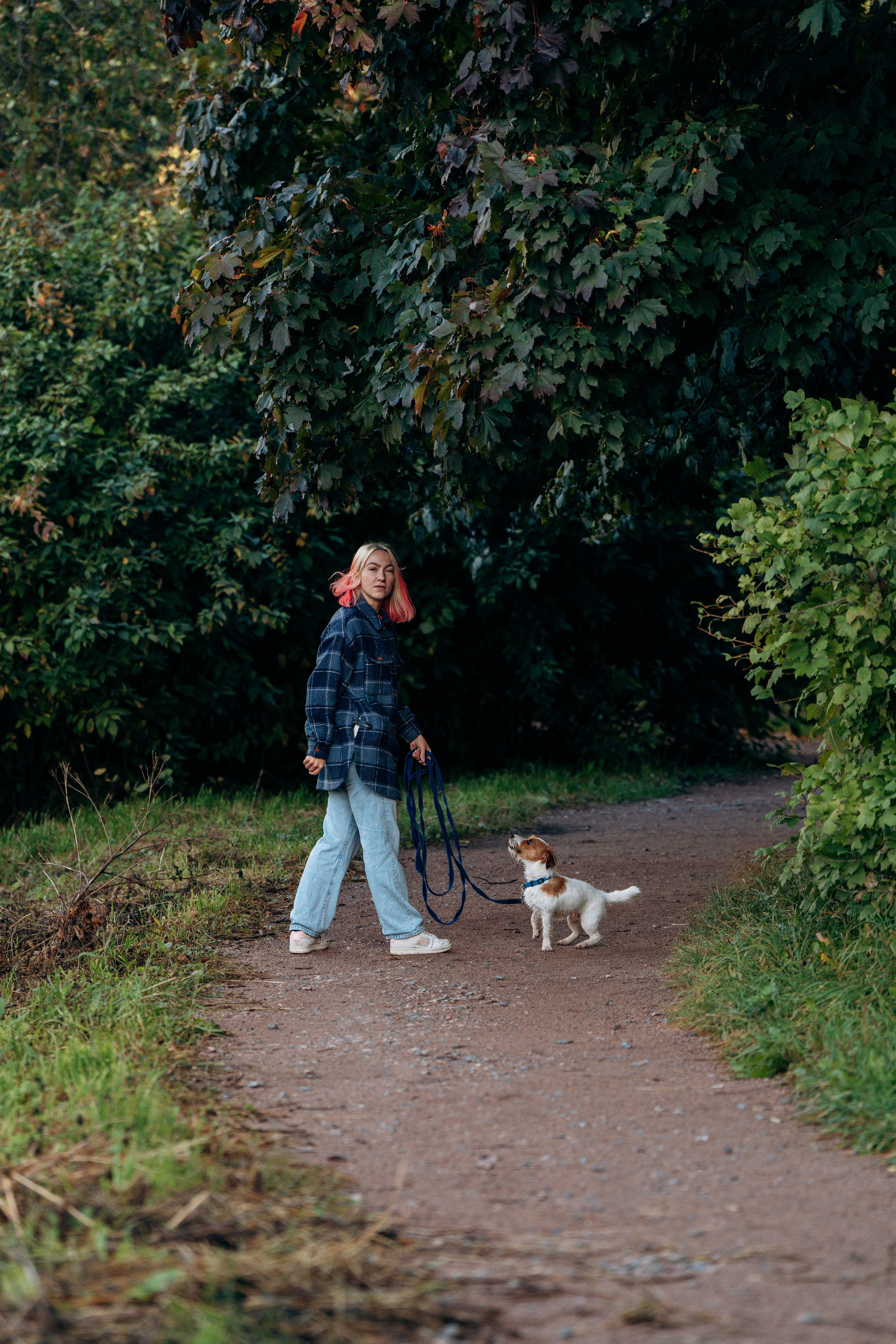 Фотосессия с маленькой собакой Спб. Фотограф анималист в Спб недорого Олеся Майорова
