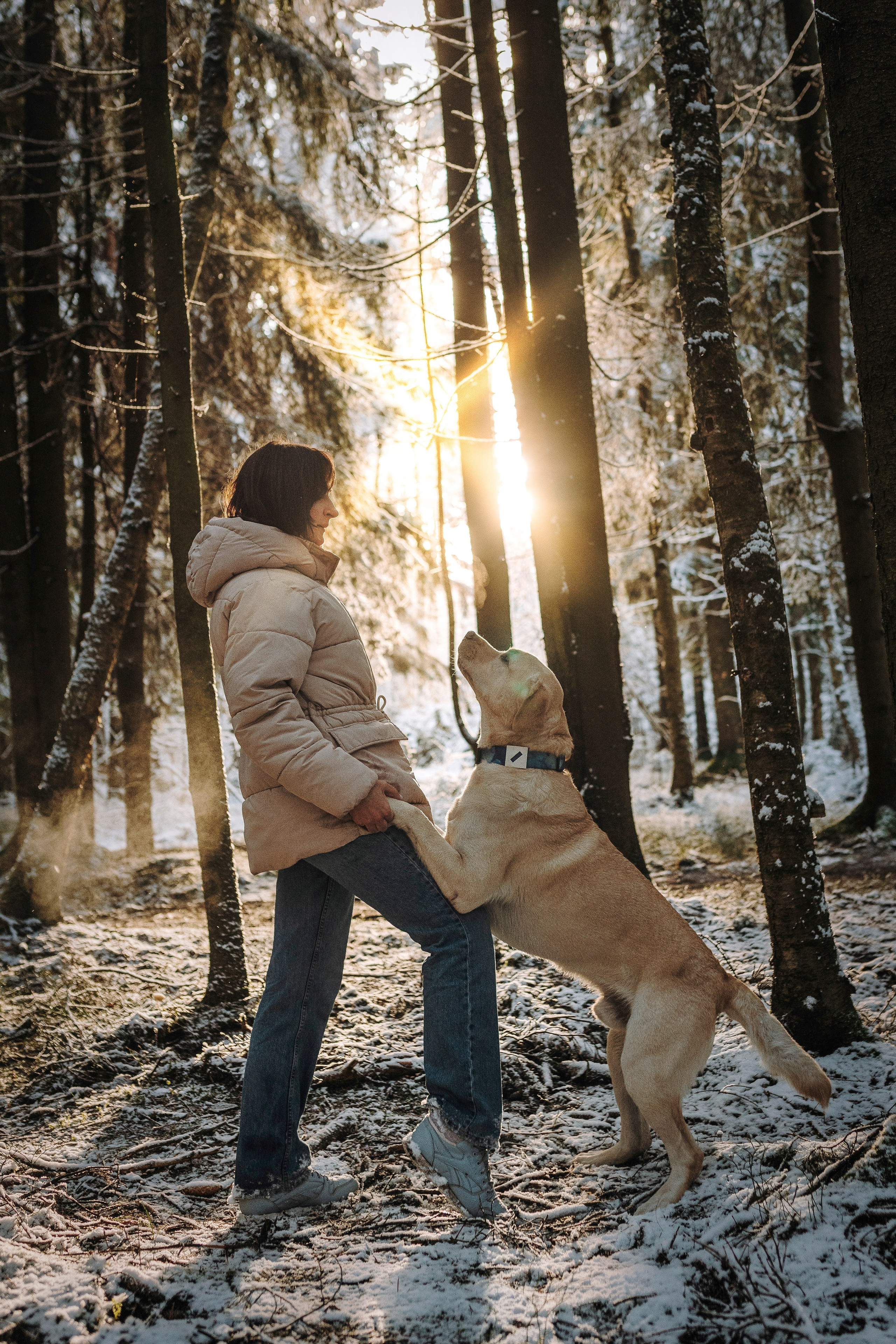Аня и Честер. Фотограф анималист в Спб недорого Олеся Майорова