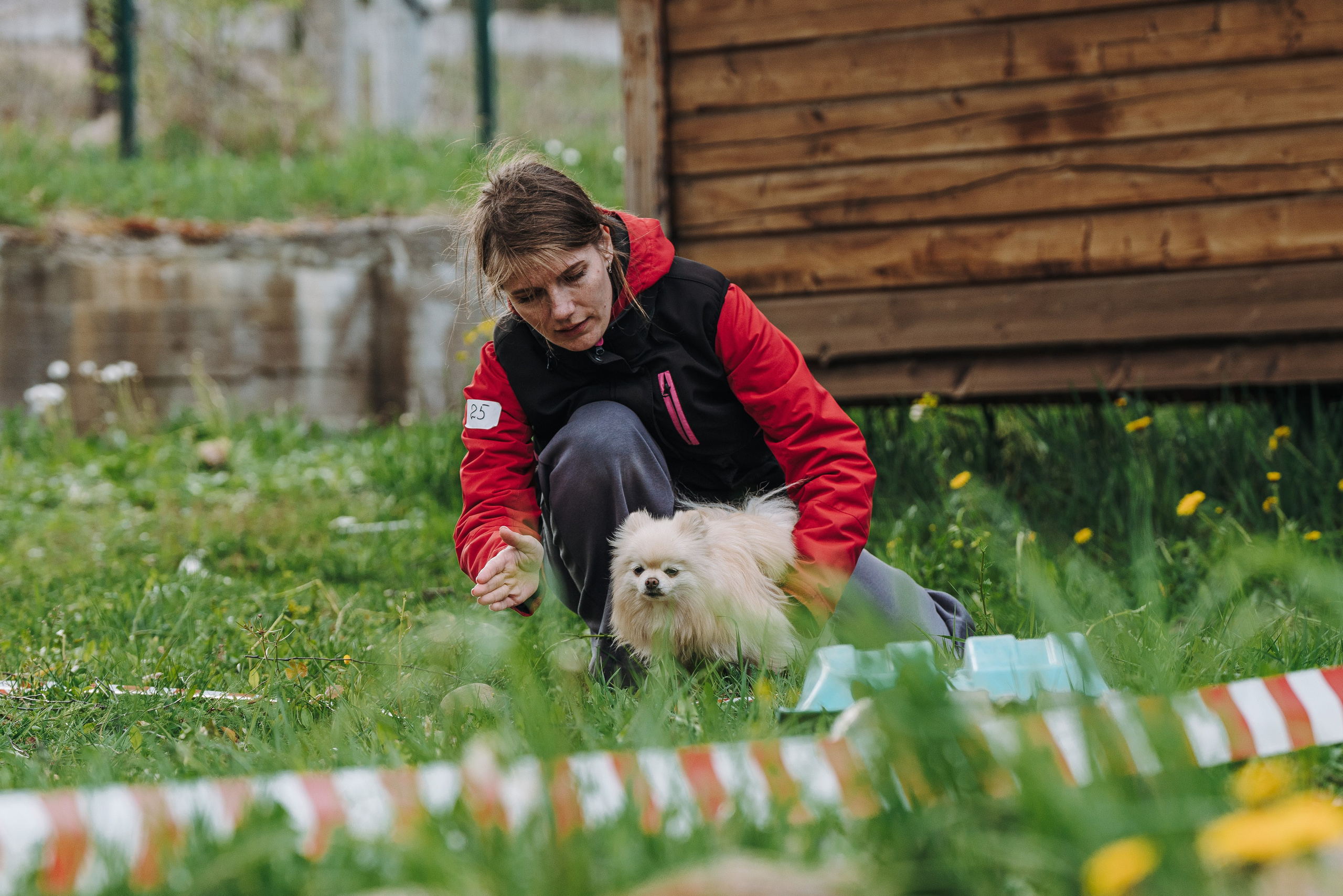 Соревнования по ноузворку в Лосево. Фотограф анималист в Спб недорого Олеся Майорова