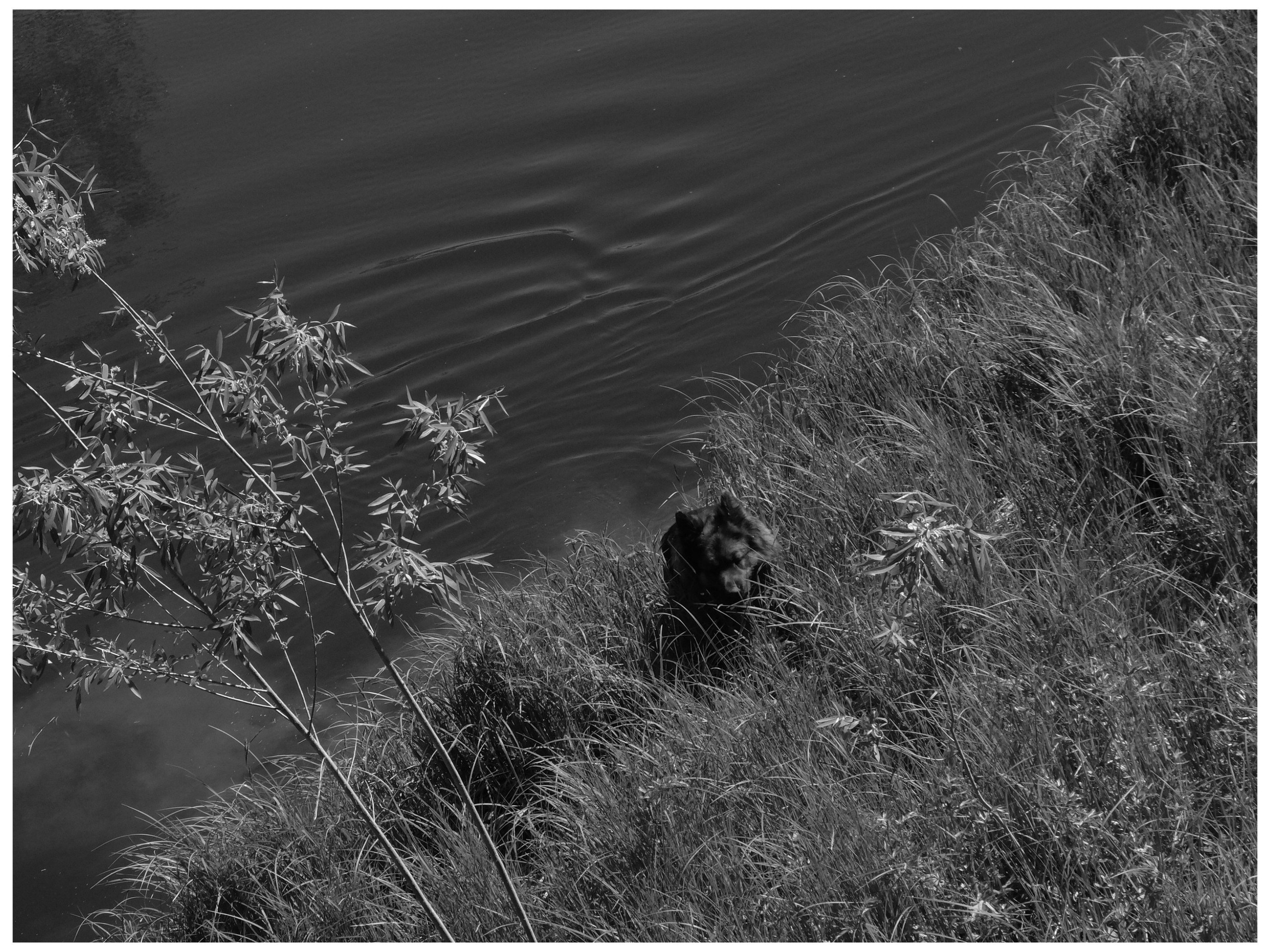 Промежуточные моменты (2022)