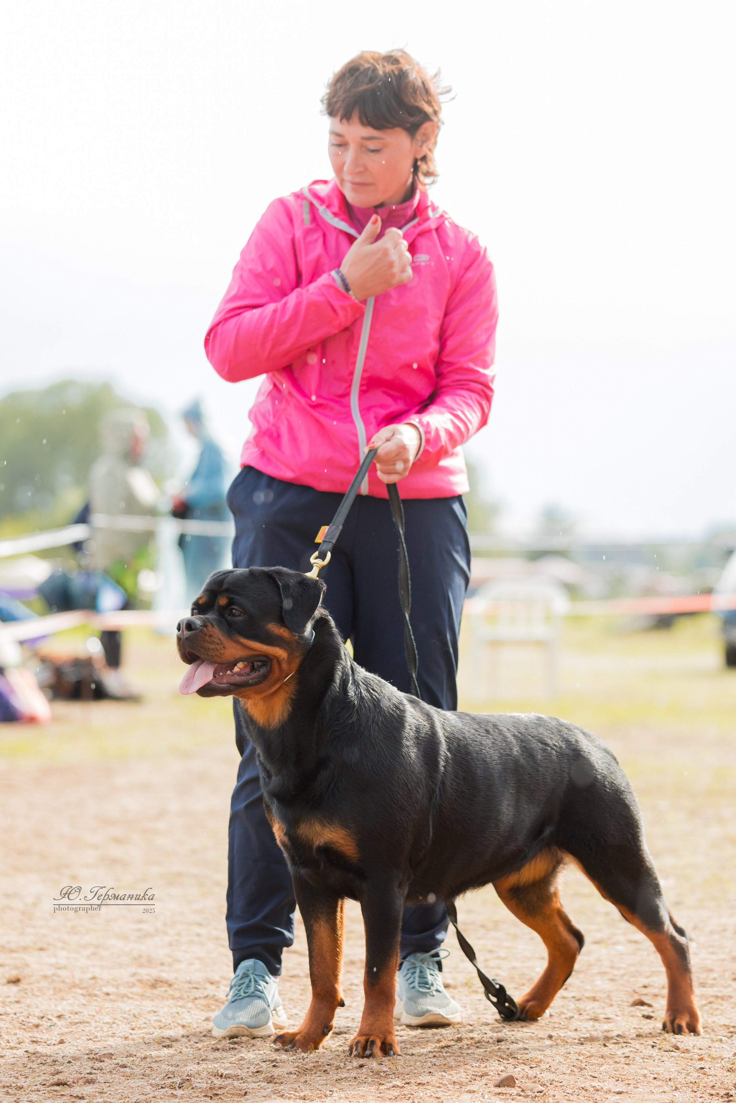 Тверь ротвейлеры 5-6.07.2025. Фотограф-анималист Юлия Германика