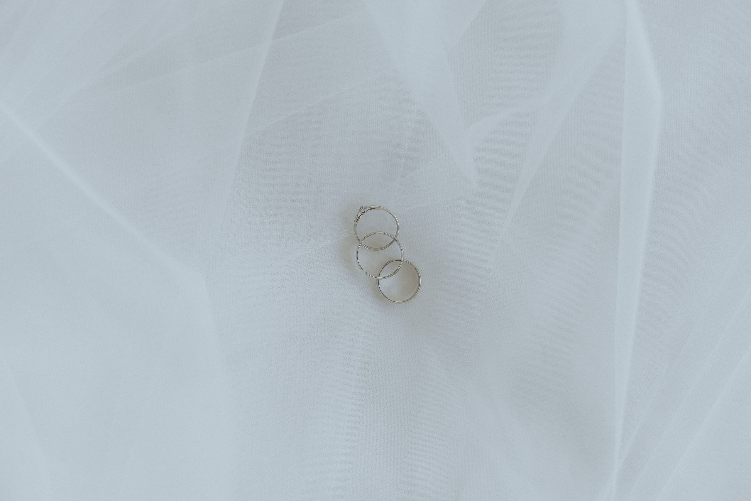 D & D. Фотограф Ольга Сапронова. Свадебный фотограф Ольга Сапронова