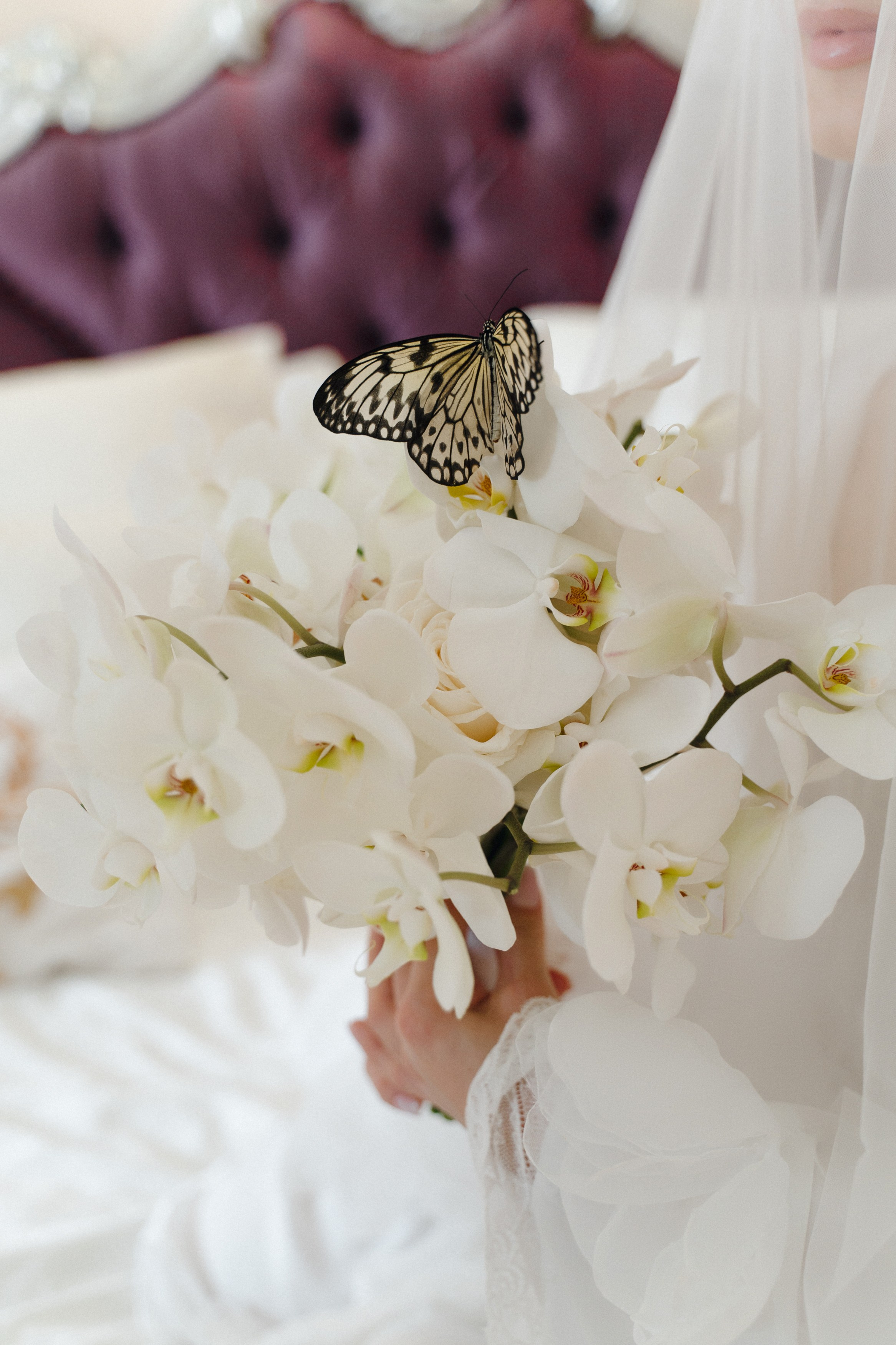 Trezzini Palace. Свадебный фотограф Москва