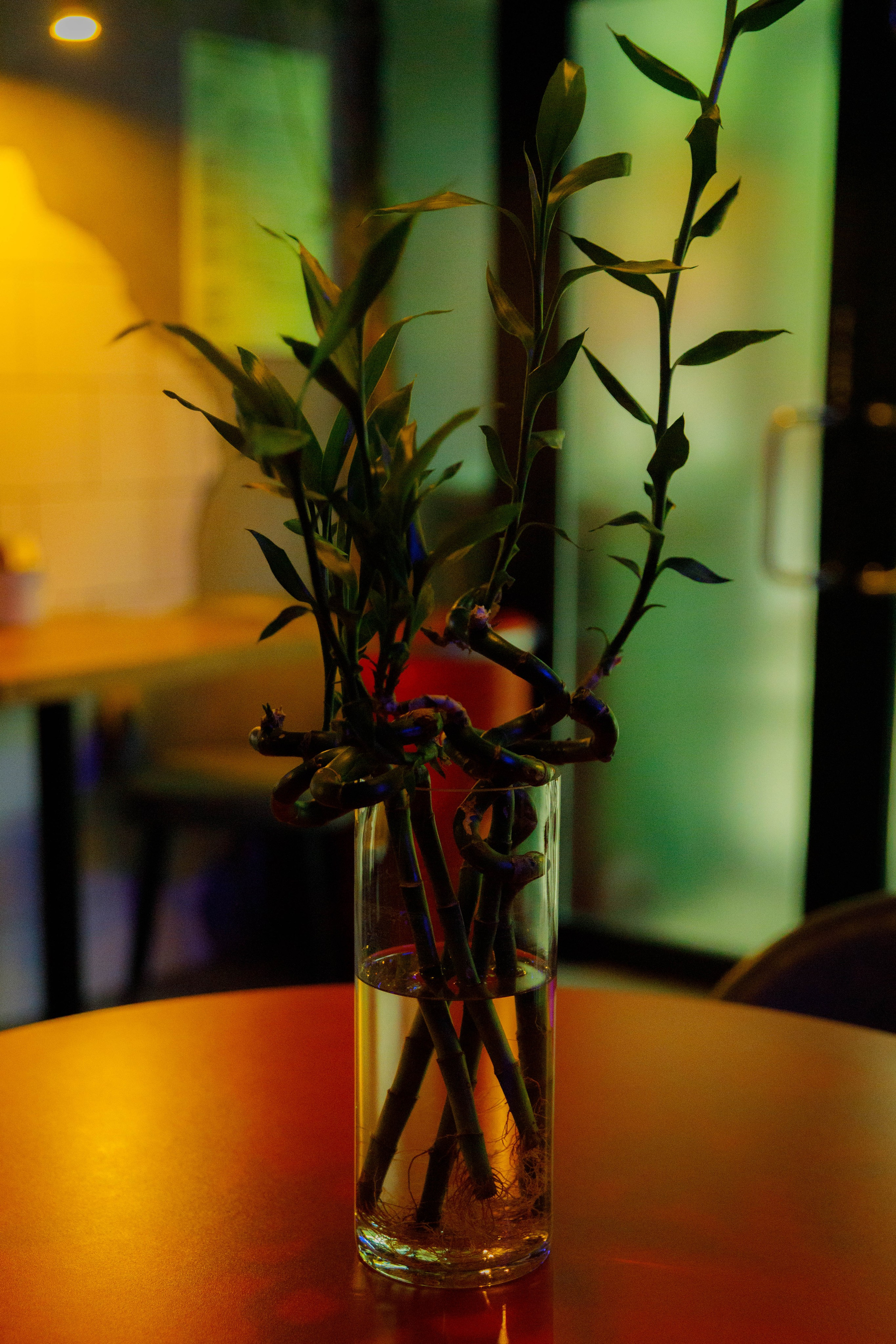 Кухня Ли. Слёт фудблогеров. Репортажный фотограф в Новосибирске Алена Помазунова