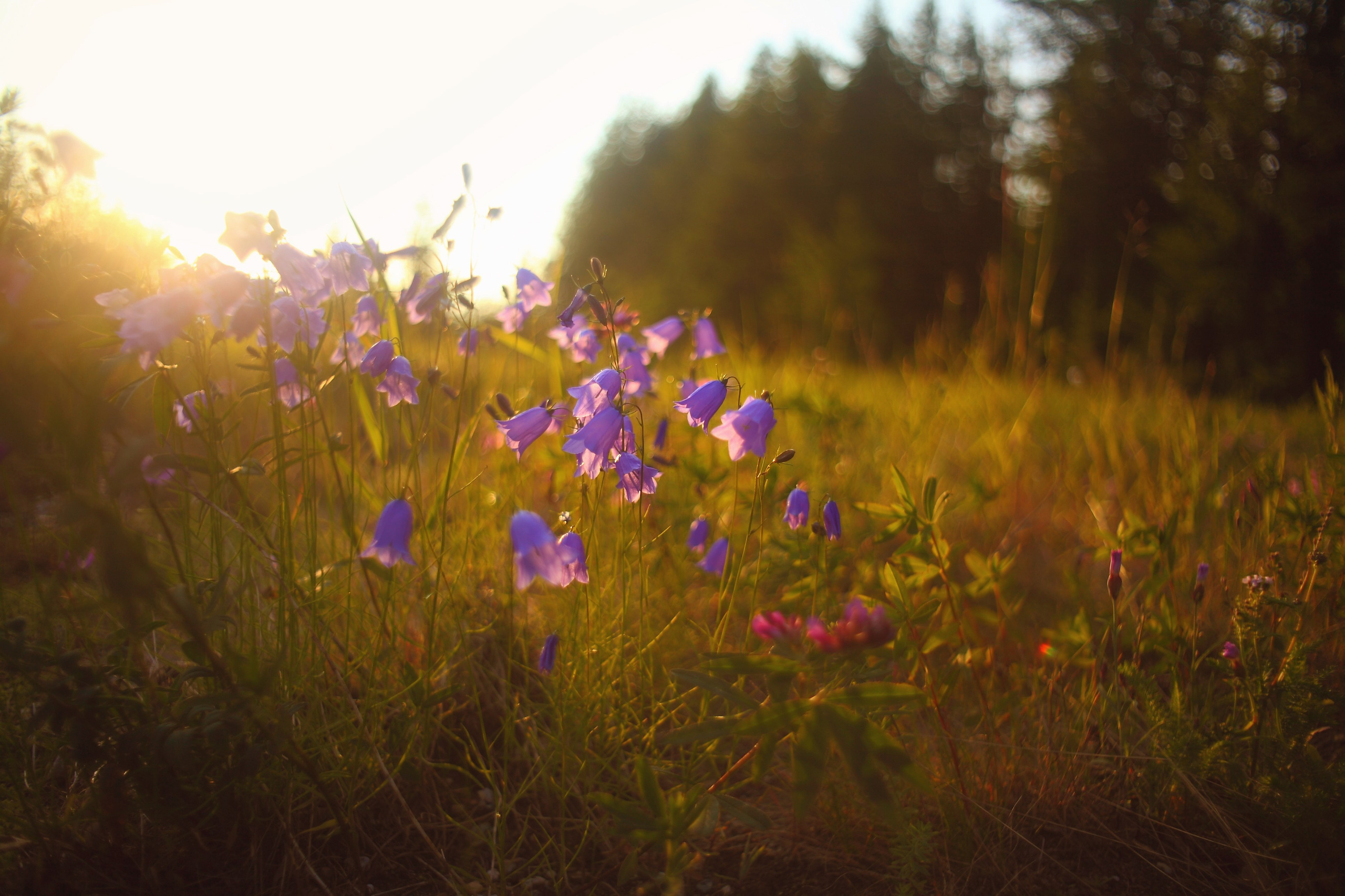 Полярный Урал. Свадебный и репортажный фотограф в Ярославле и Санкт-Петербурге Роман Микрюков