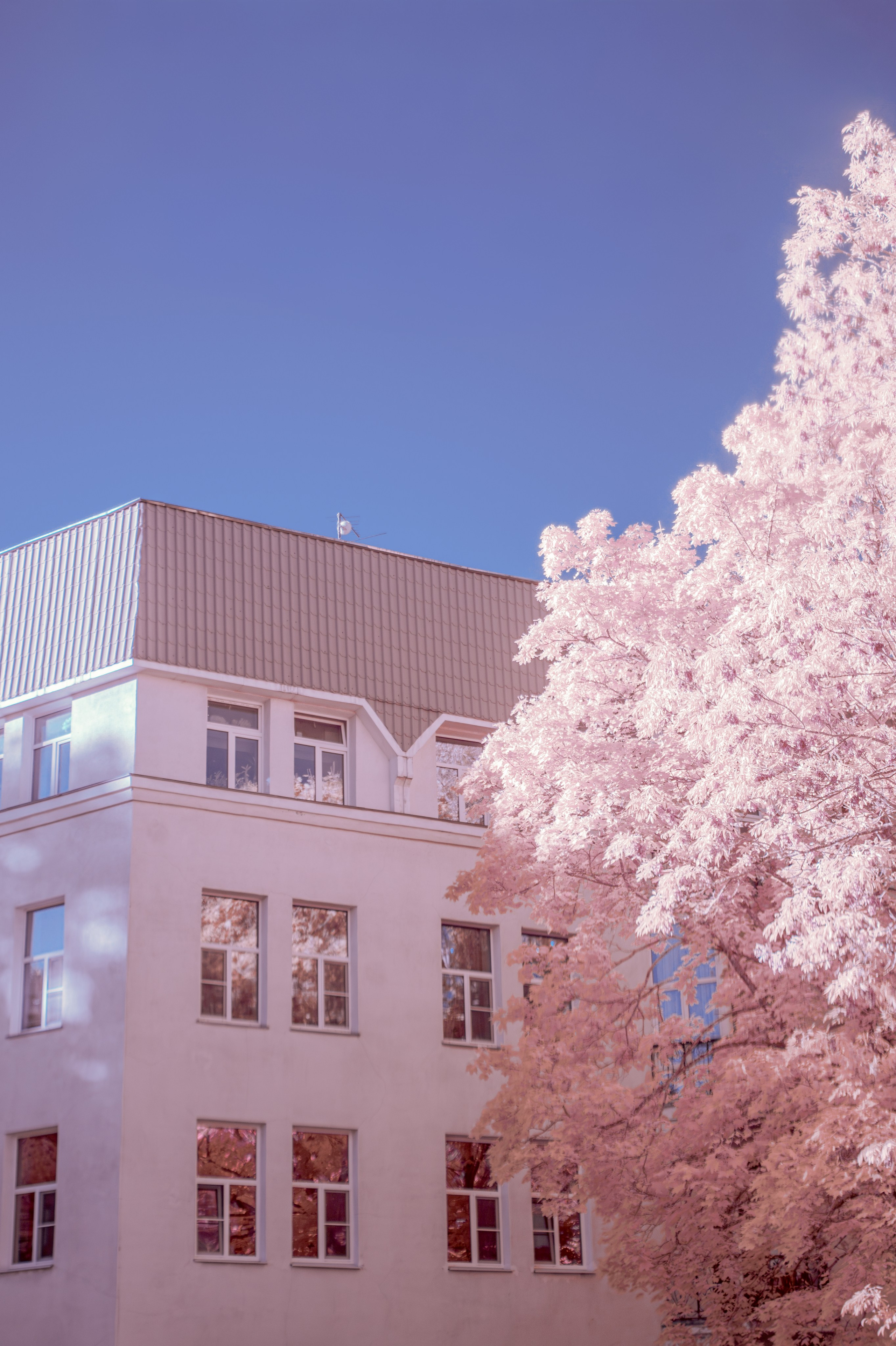 Infrared. AThumbnails