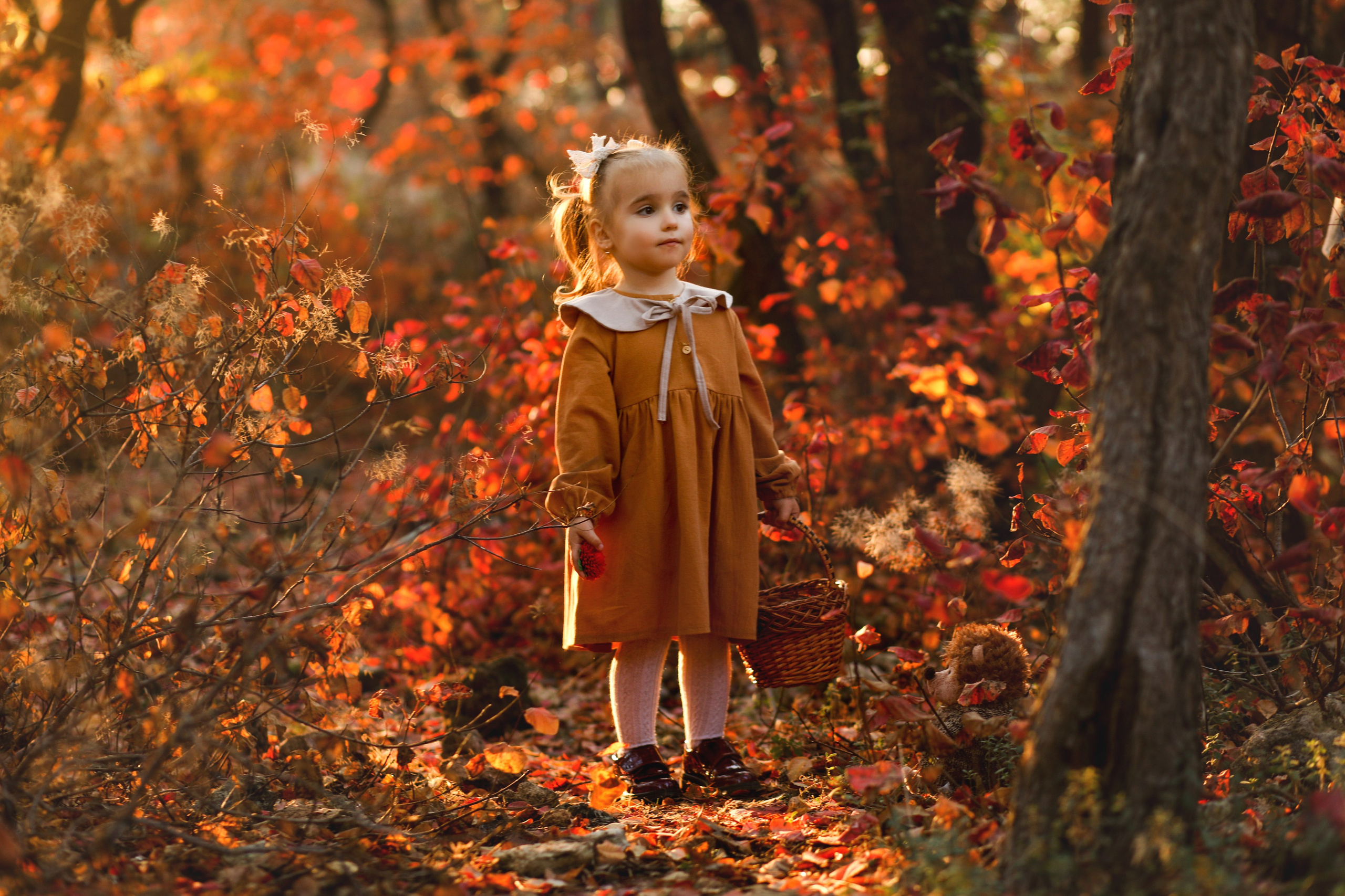Марк и Ксюша. Свадебный и семейный фотограф в Севастополе и Крыму Анастасия Сураева
