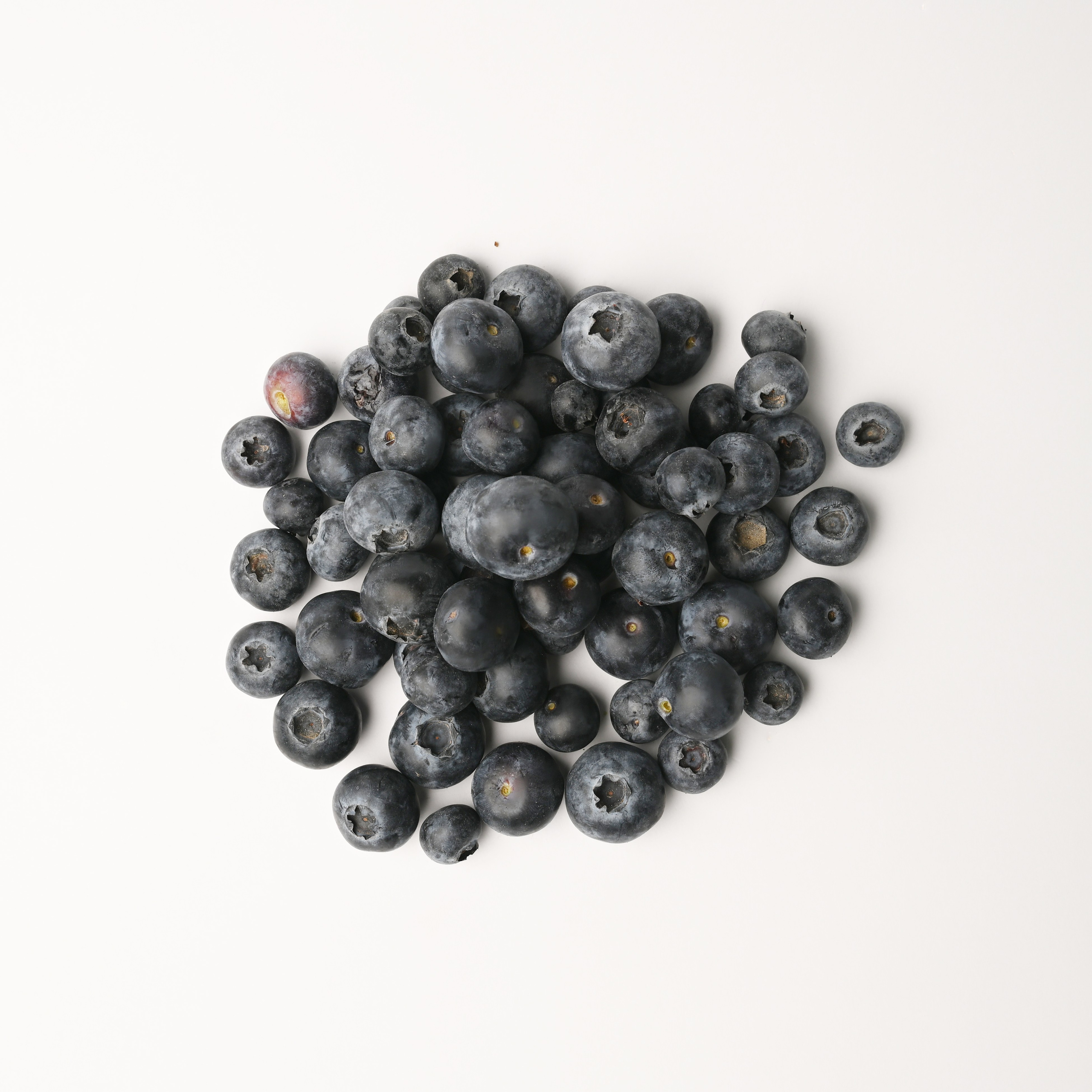 Реклама. De_ross photo. Москва. Санкт-Петербург. Россия