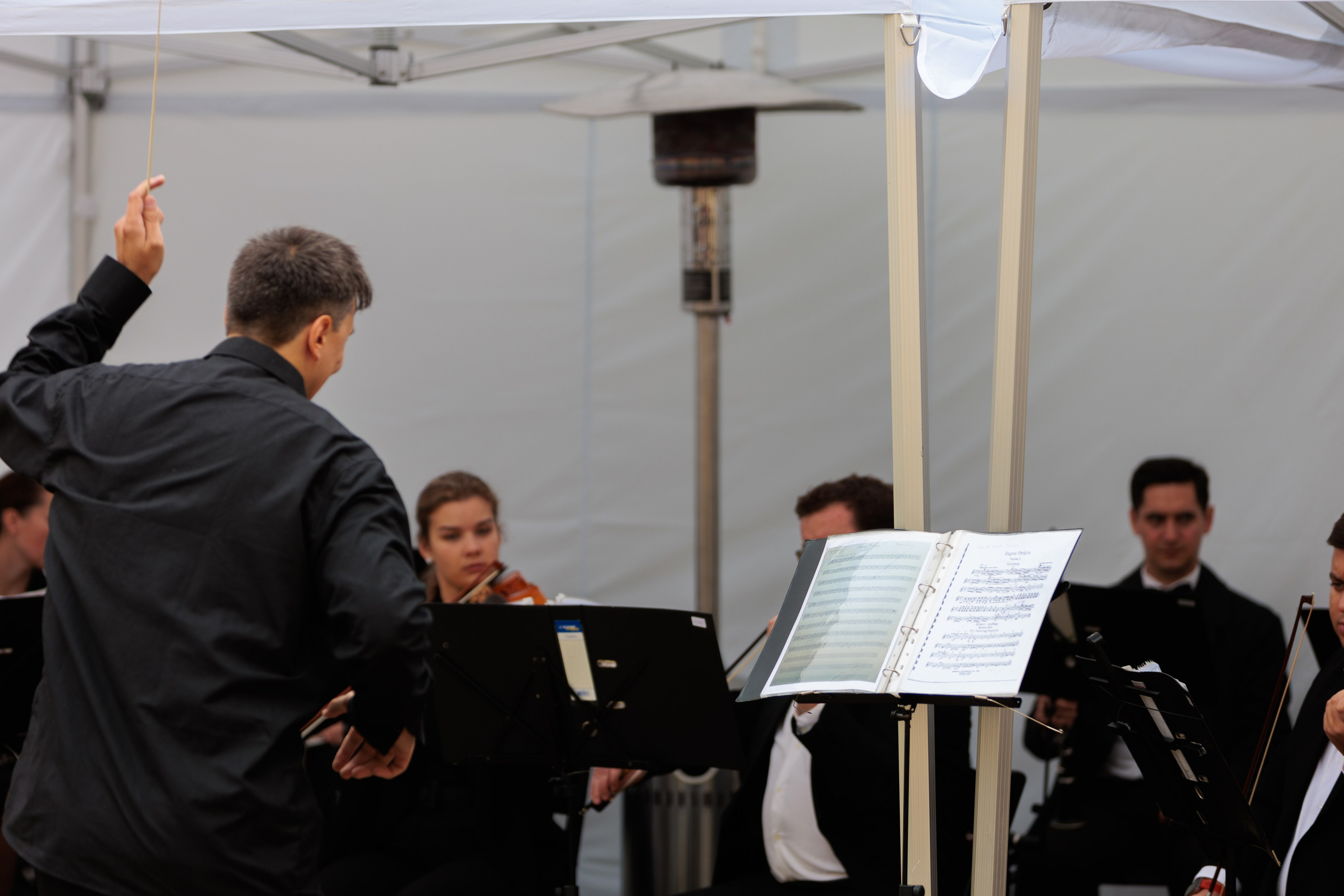 Концерт малого симфонического оркестра. Репортажный фотограф Санкт-Петербург | Роман Карбышев
