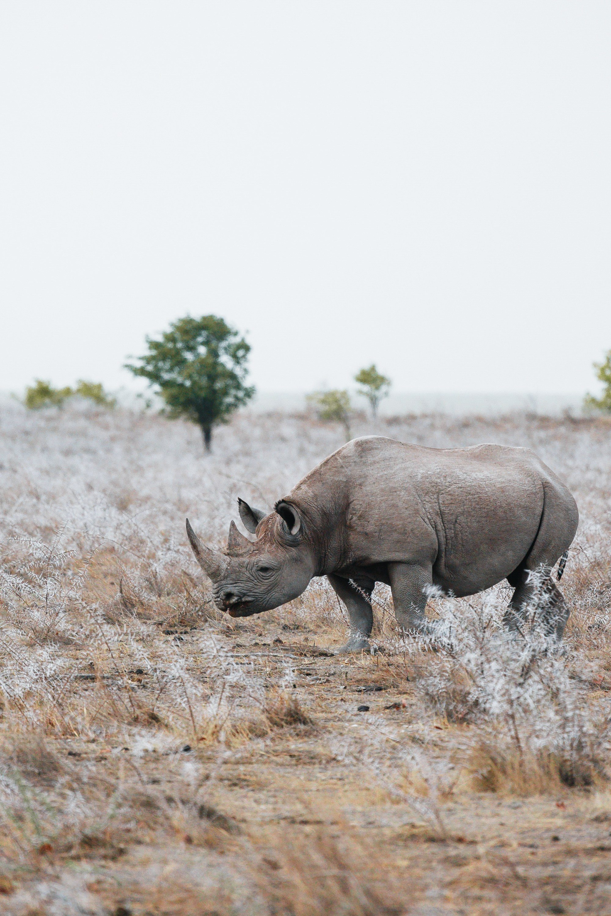 НАМИБИЯ. Роадтрип