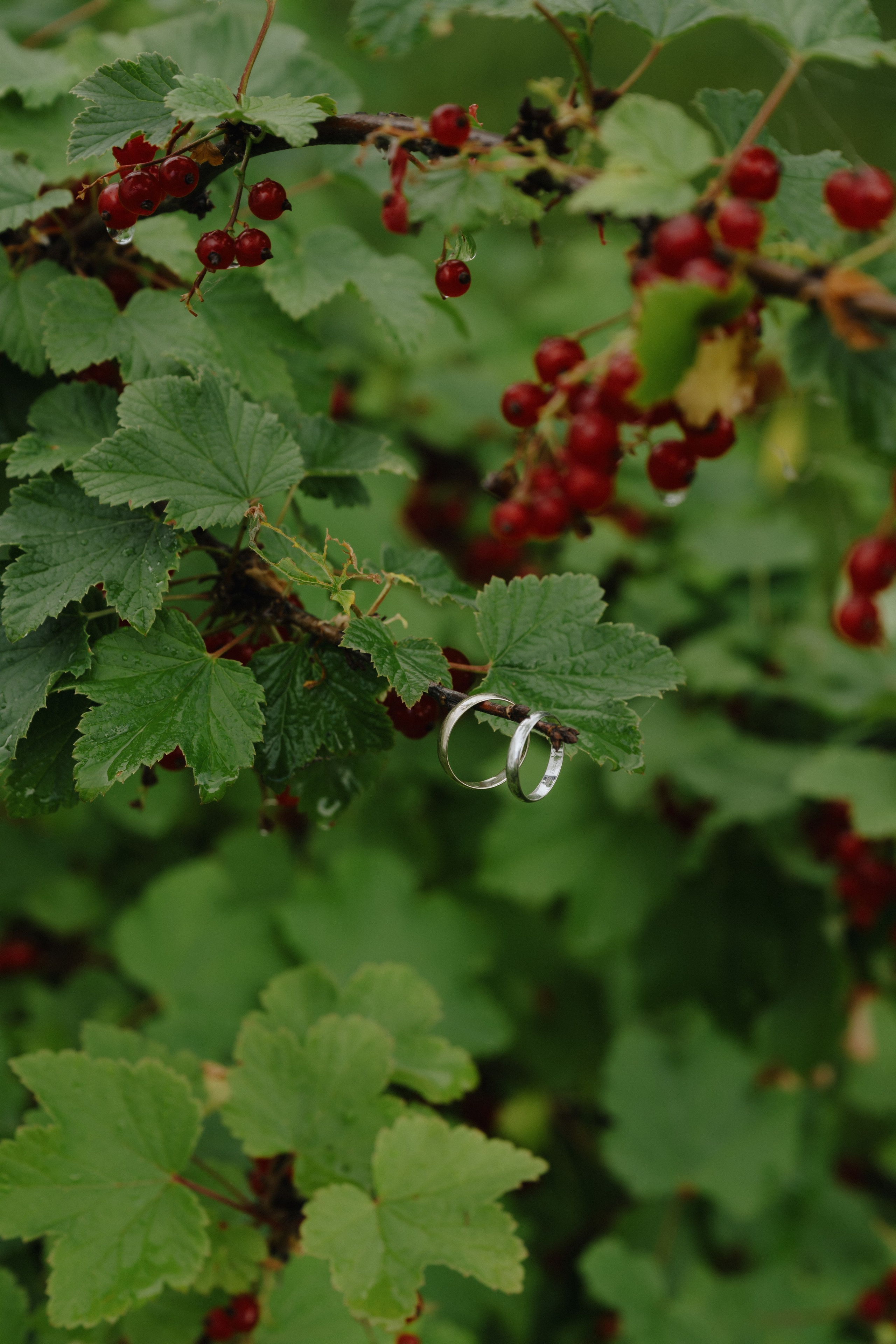 Полина & Владимир, Сагитариус