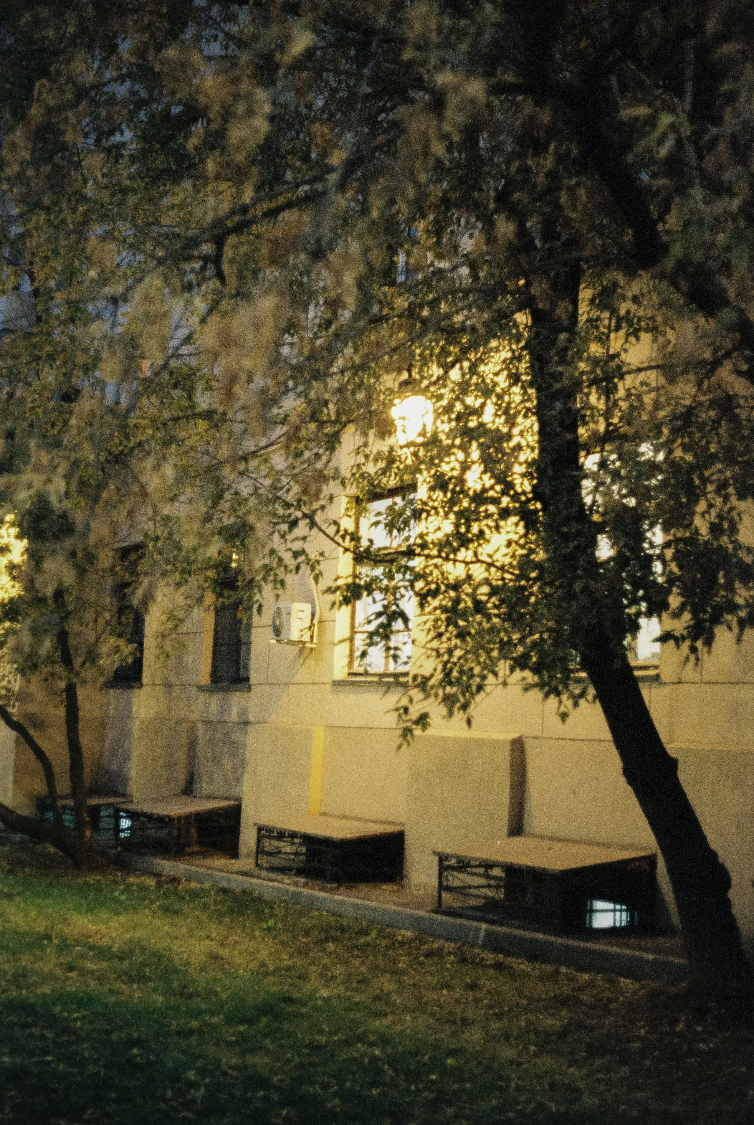 Москва вечером на пленку