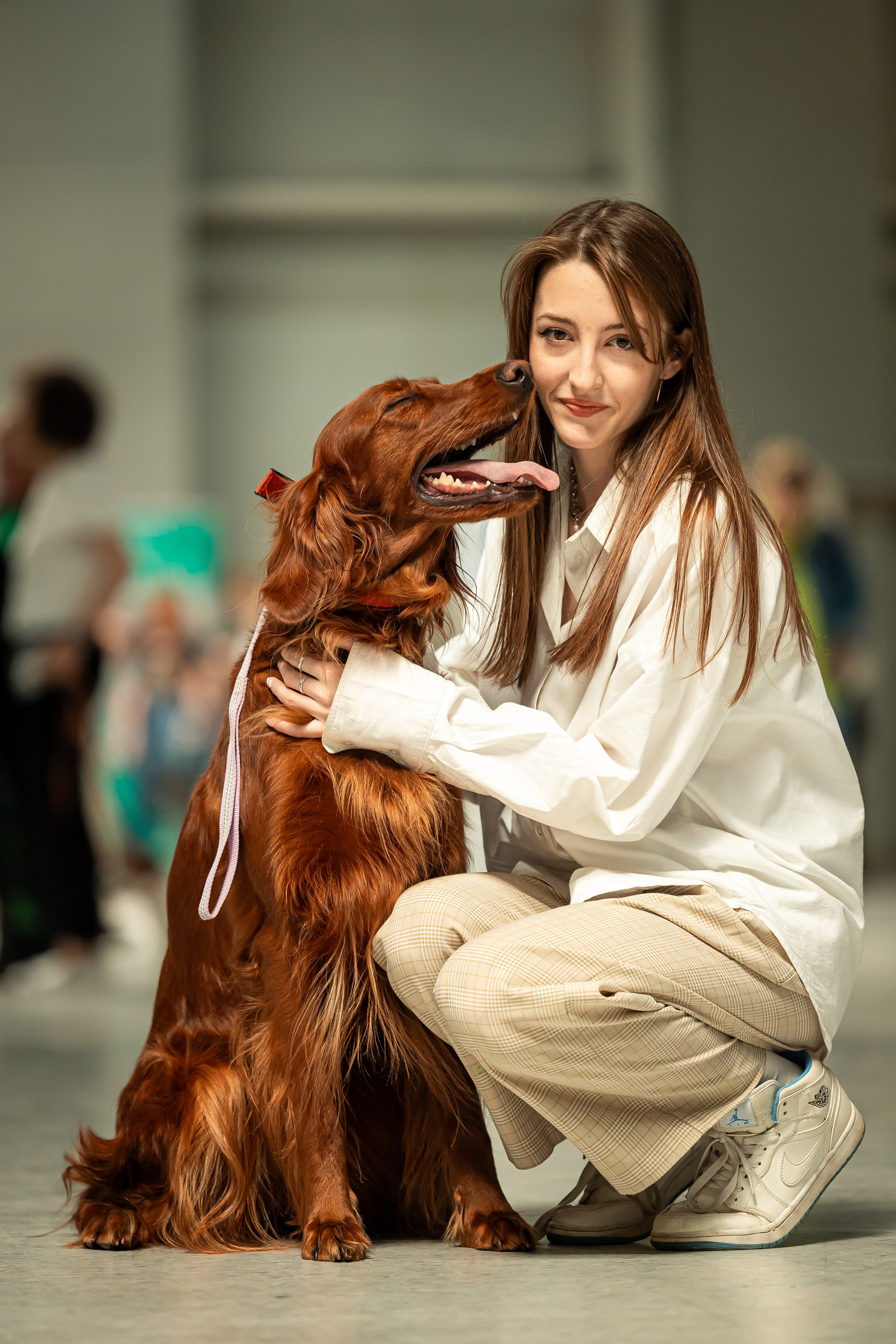 Выставка сеттеров 19.05.24