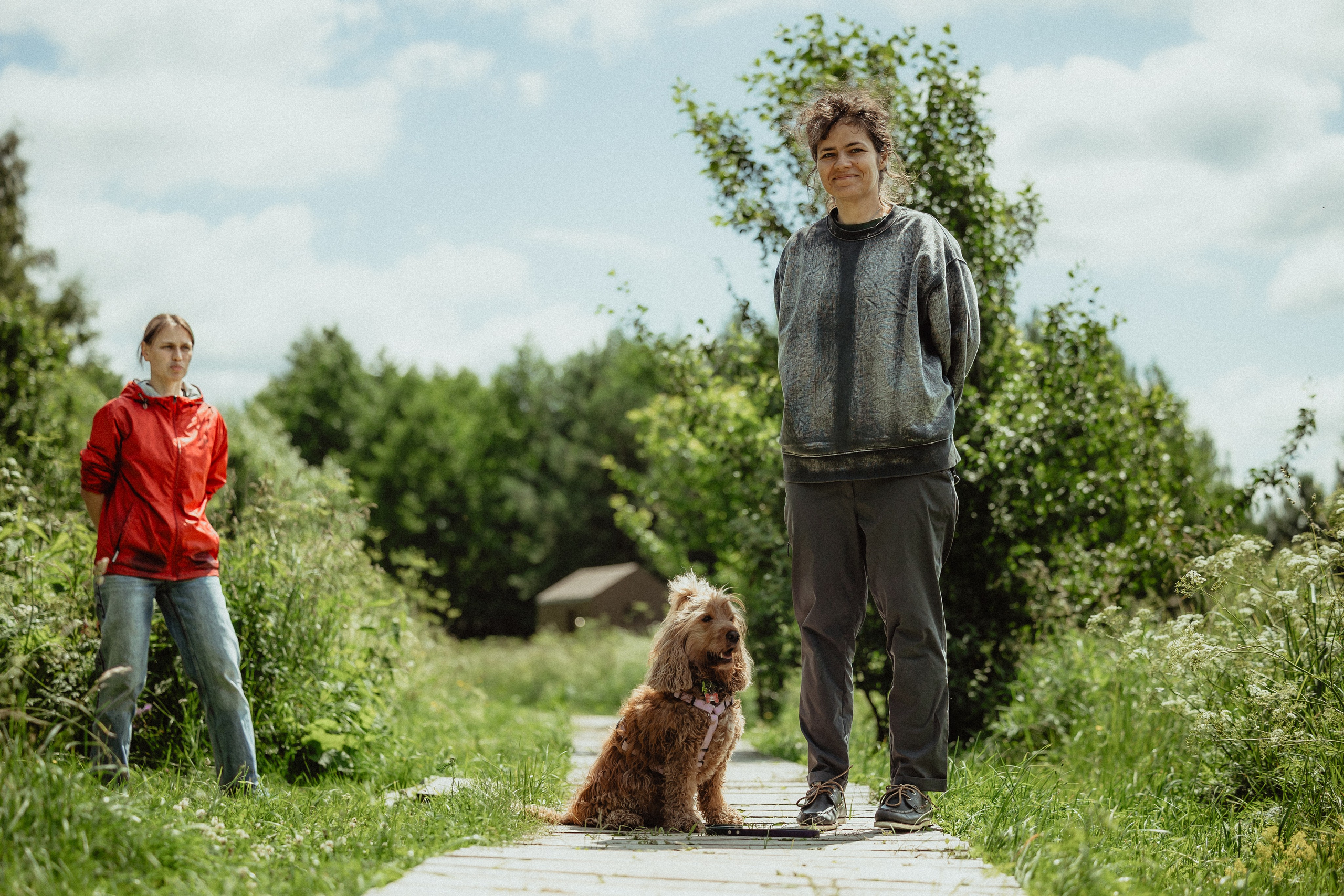 Выездной дог-тренинг от школы «Шерсть имею»