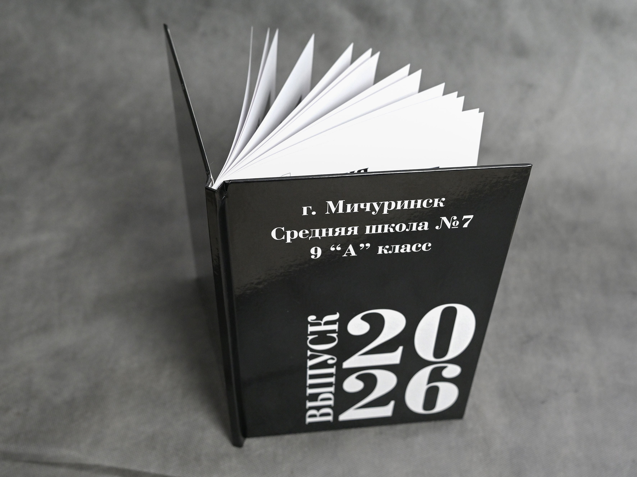Книга с мягкими журнальными страницами 21×30см. Количество страниц — 32. Цена -3620р.