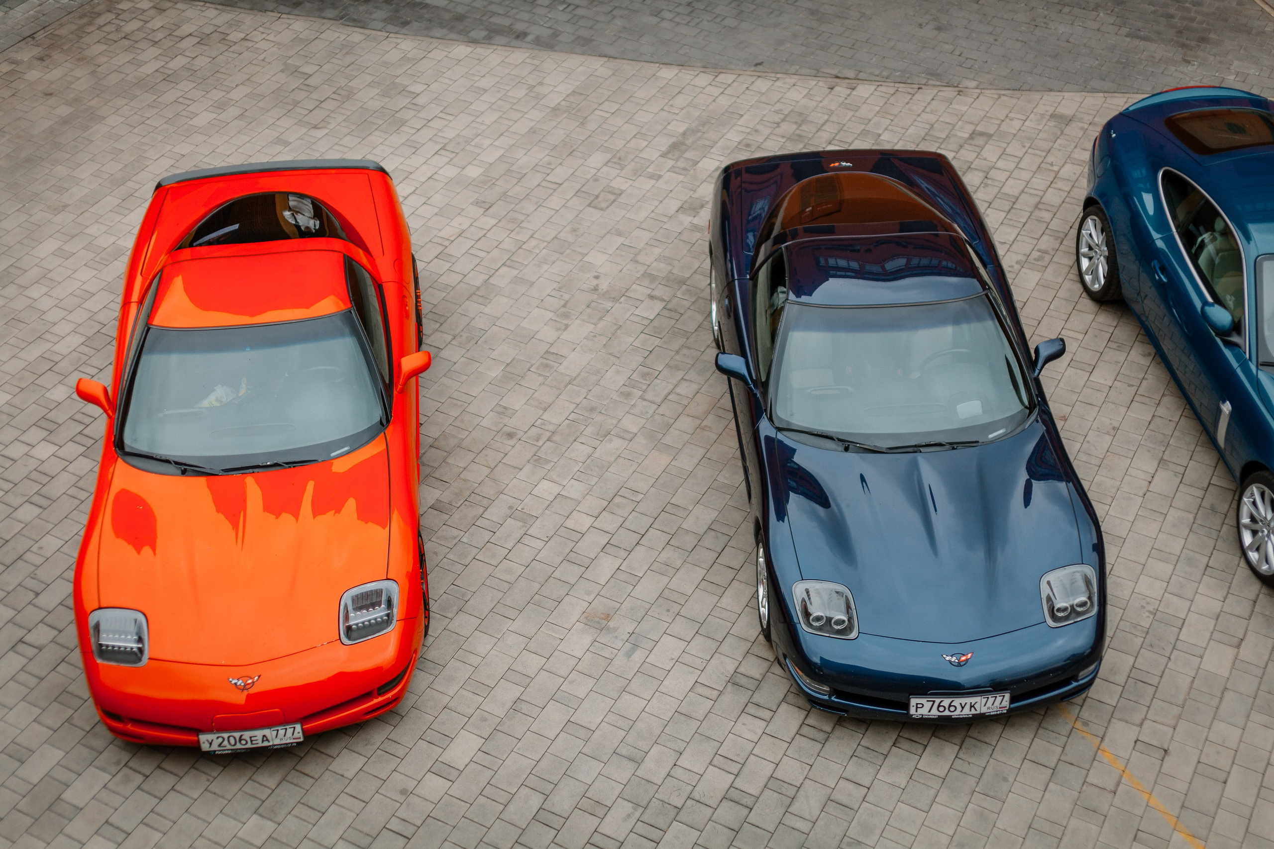 Листва. Алексей Никифоров фотограф Москва, Химки