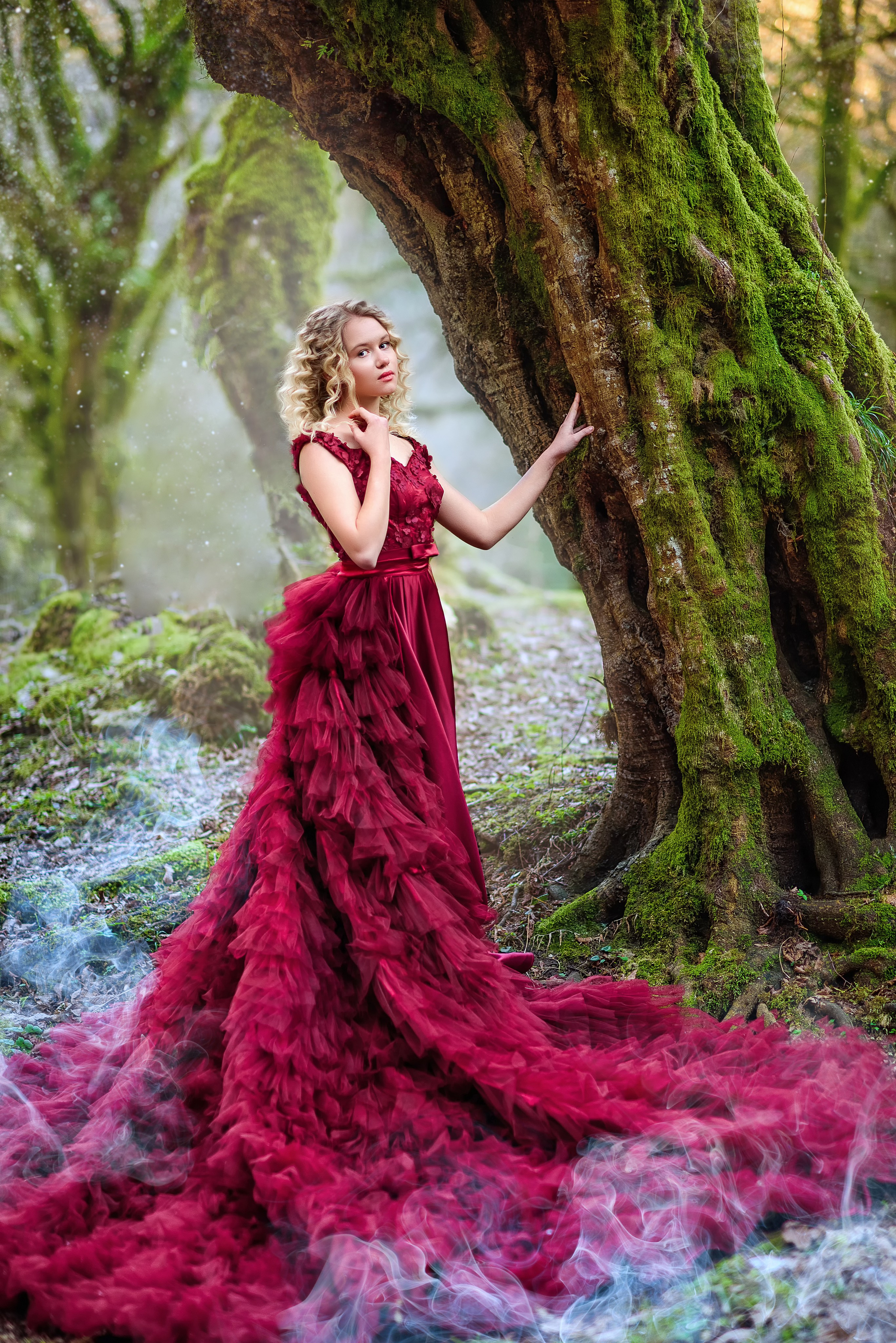 Самшитовый лес. Фотограф в Москве Lidiya_Li_Photo