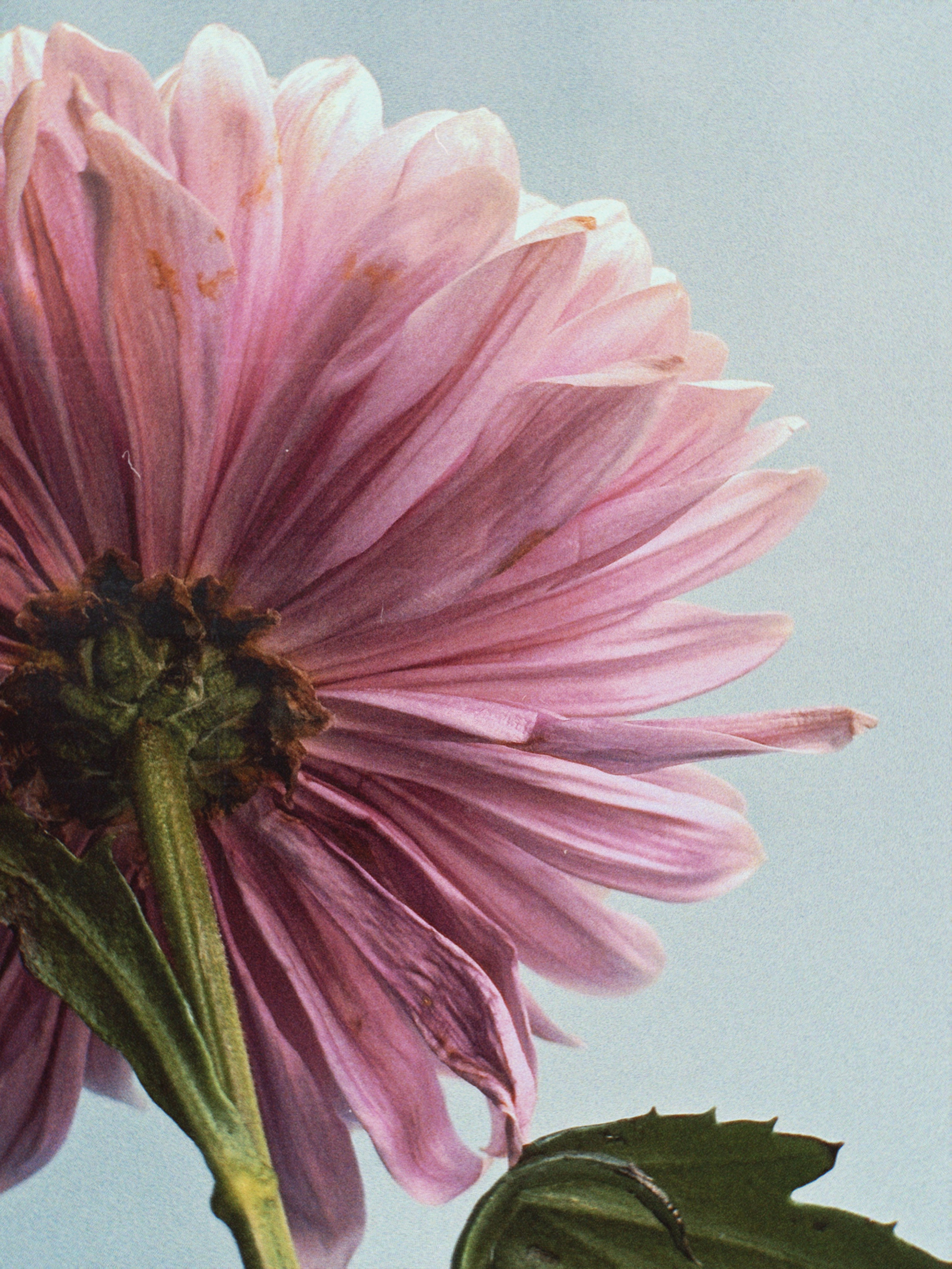 Предметная съёмка. Чувственный мобильный фотограф в Казани и Сочи Дьяченко Дарья