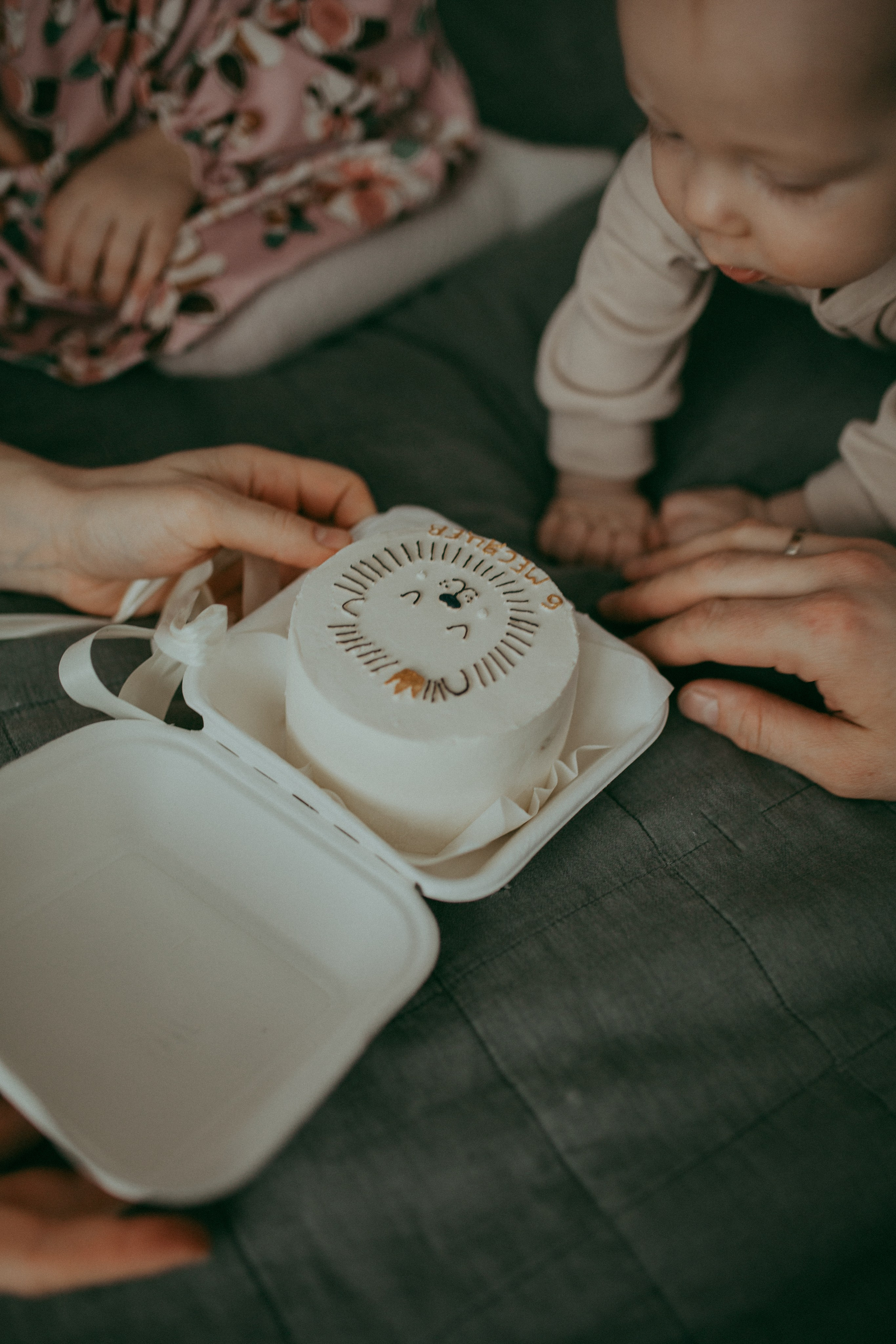 Феде 6 мес. или операция по захвату торта. Семейный фотограф Санкт-Петербург Елена Корытцева