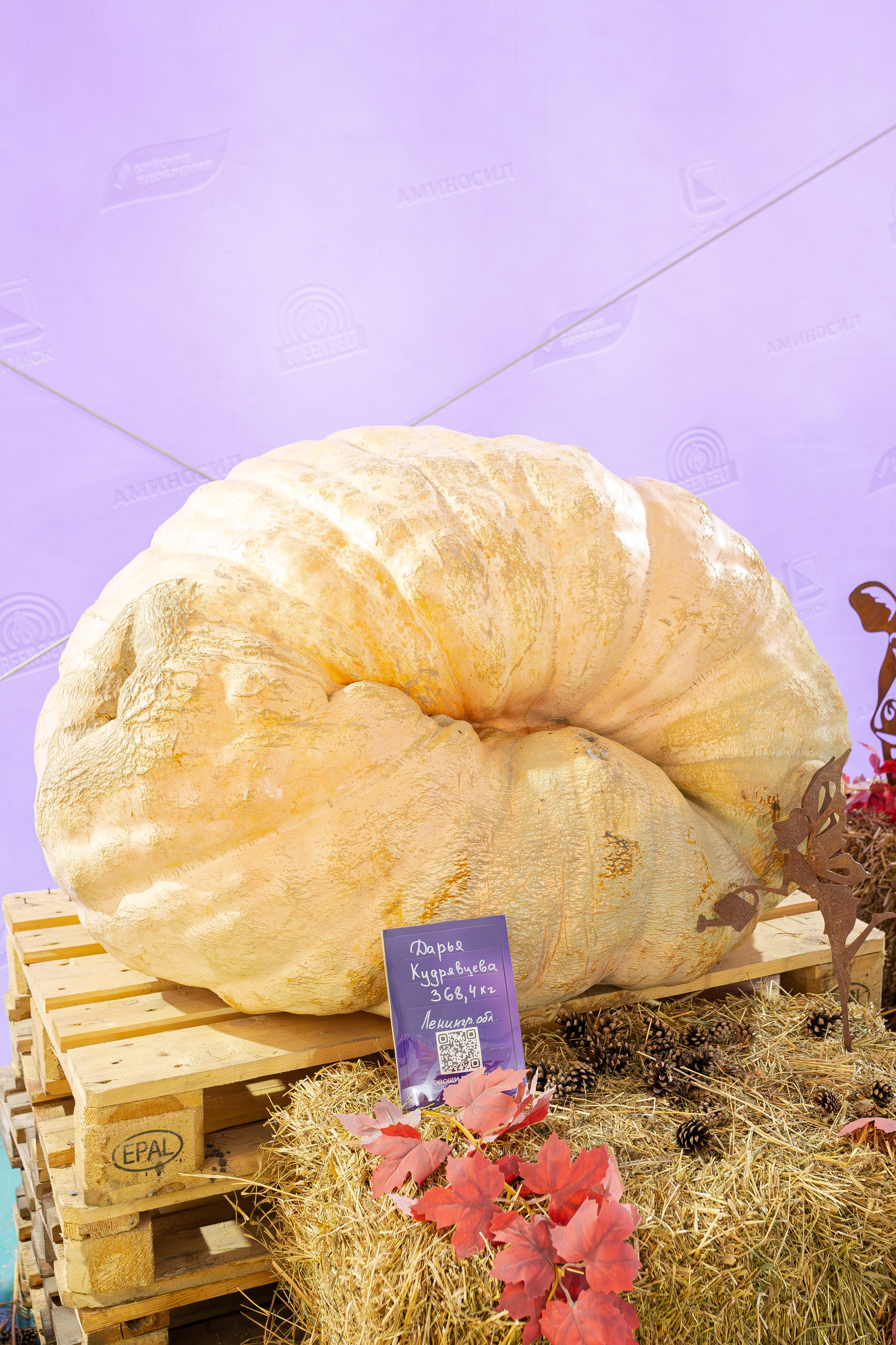 Овощи-гиганты. Александра Куликова фотограф, Москва