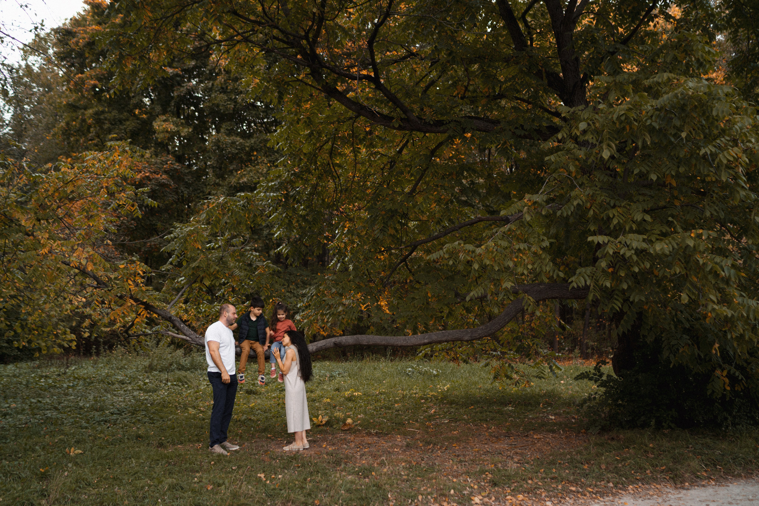 Дерево-брокколи. Фотограф Анна Кобазева, Москва