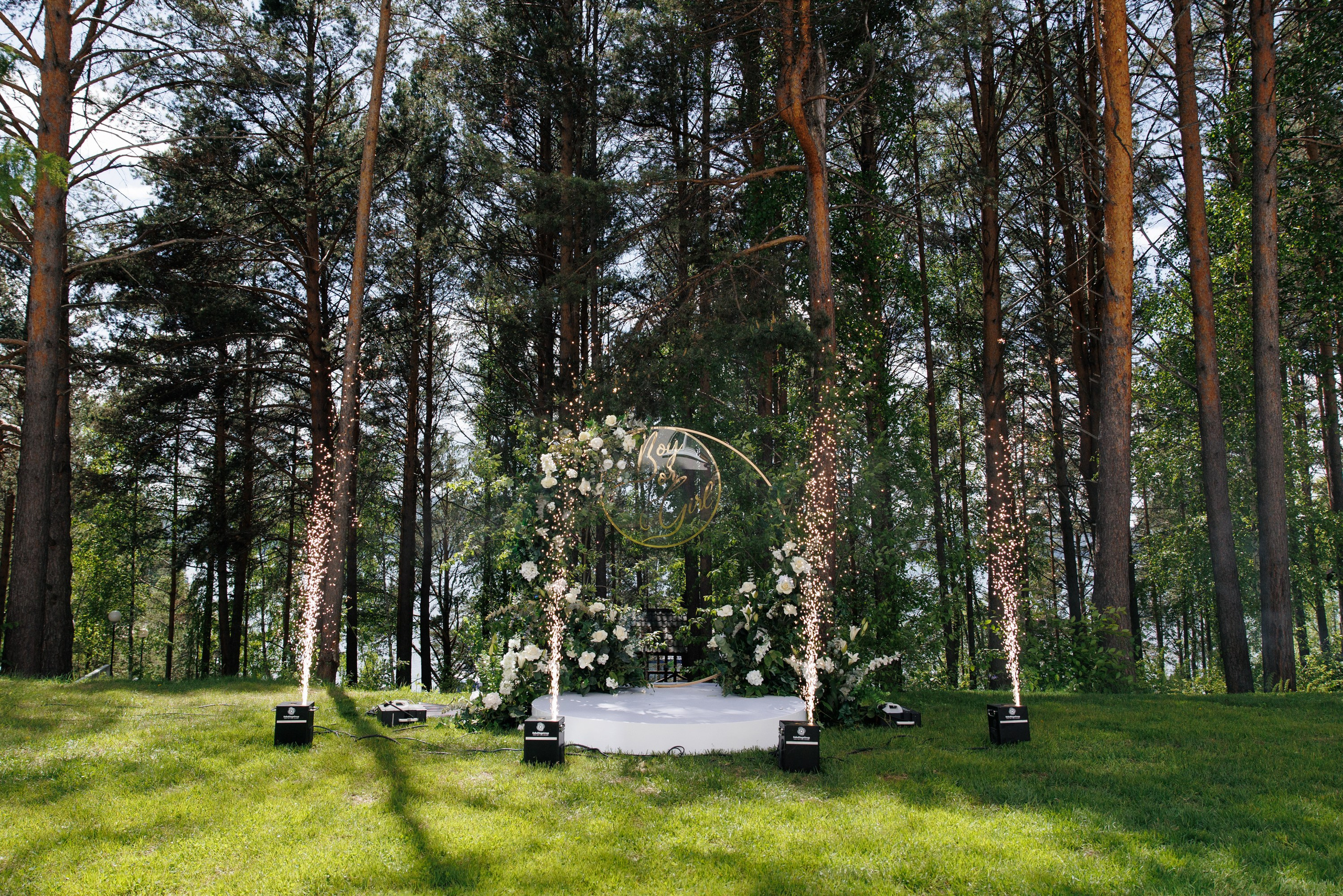 Александр и Диана. Свадебный фотограф