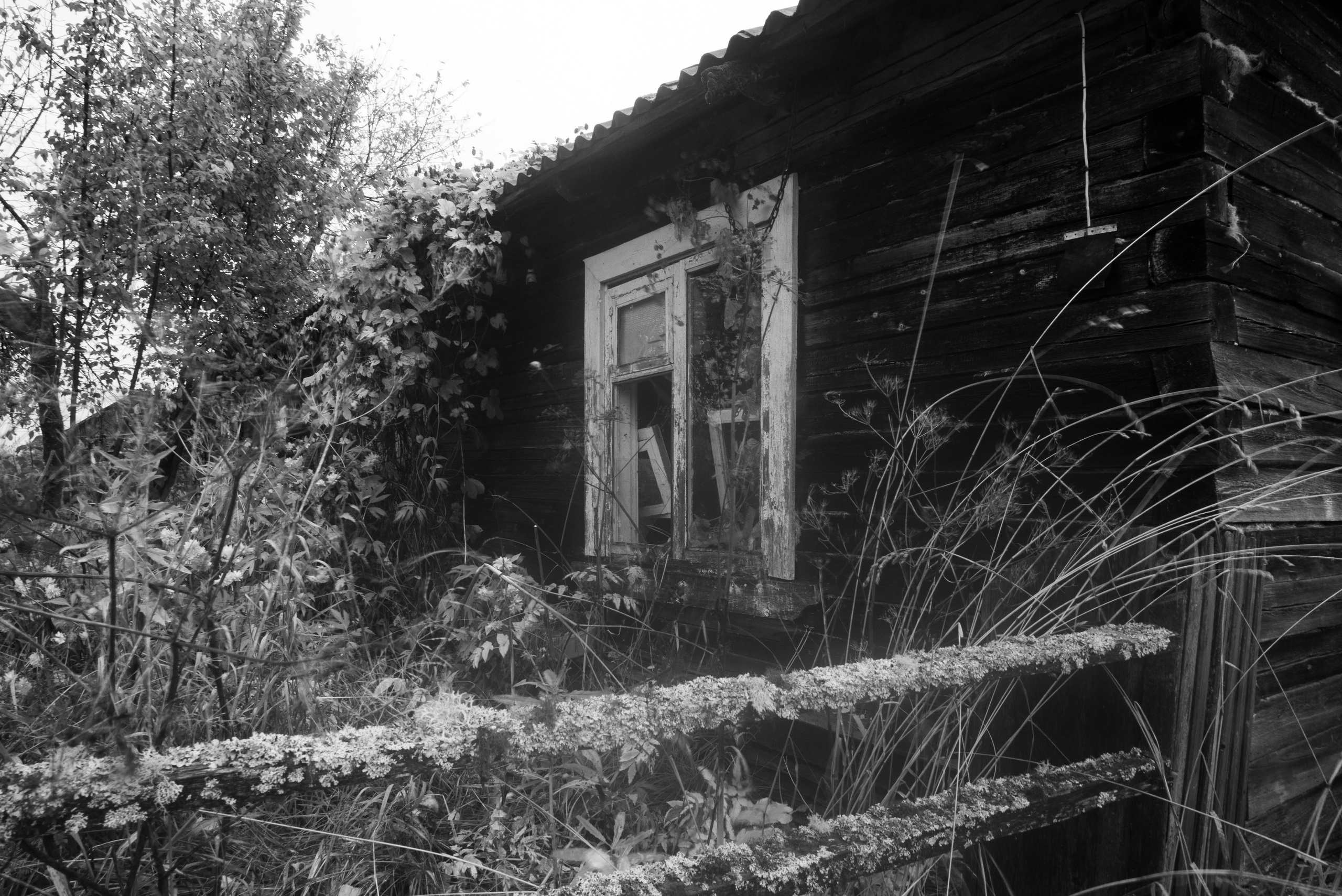 Деревня / Север II. Фотограф Антон Денисенко: Портрет, Документалистика, Пейзаж. Москва