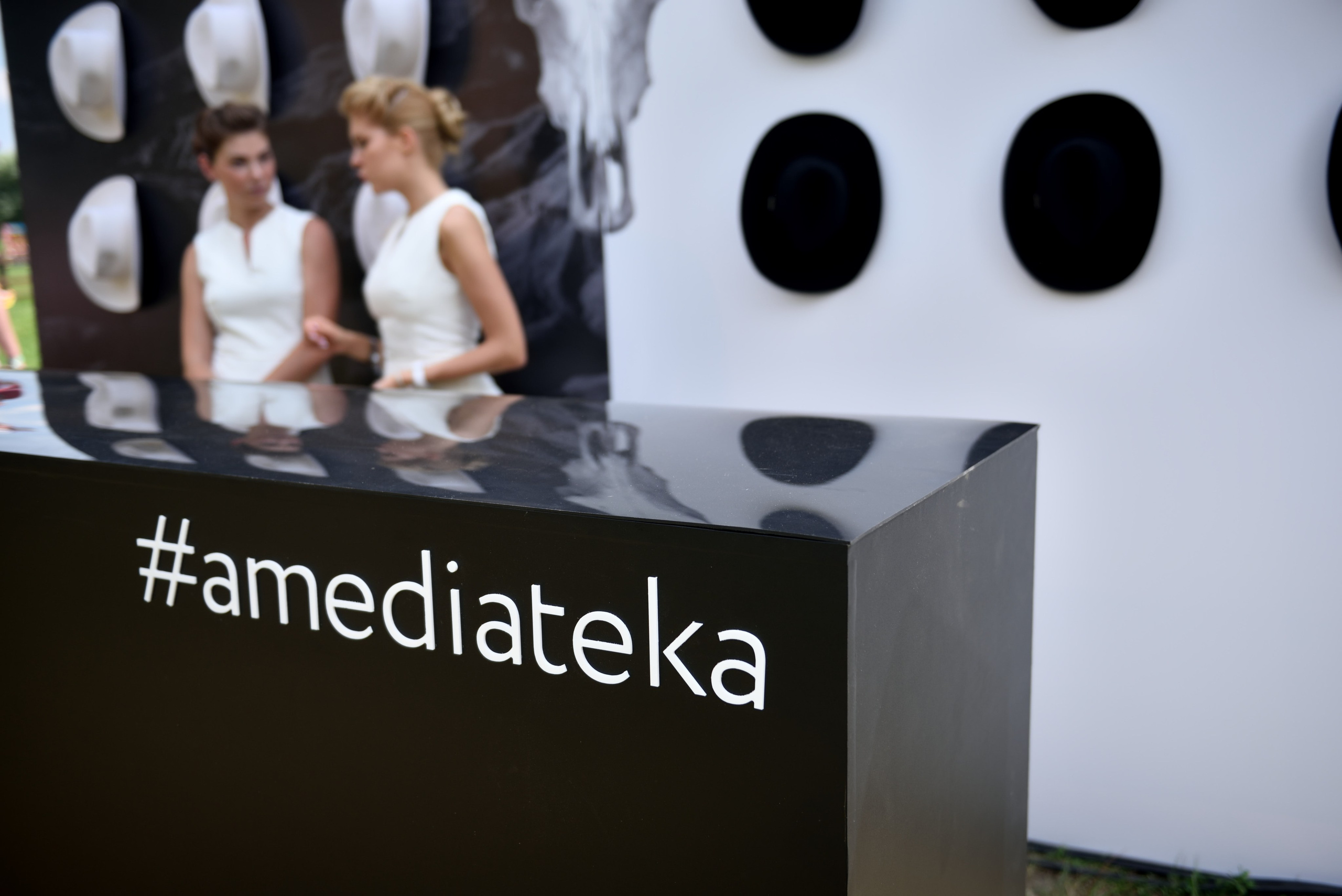 "Стенд медиатеки для пикника Афиша".