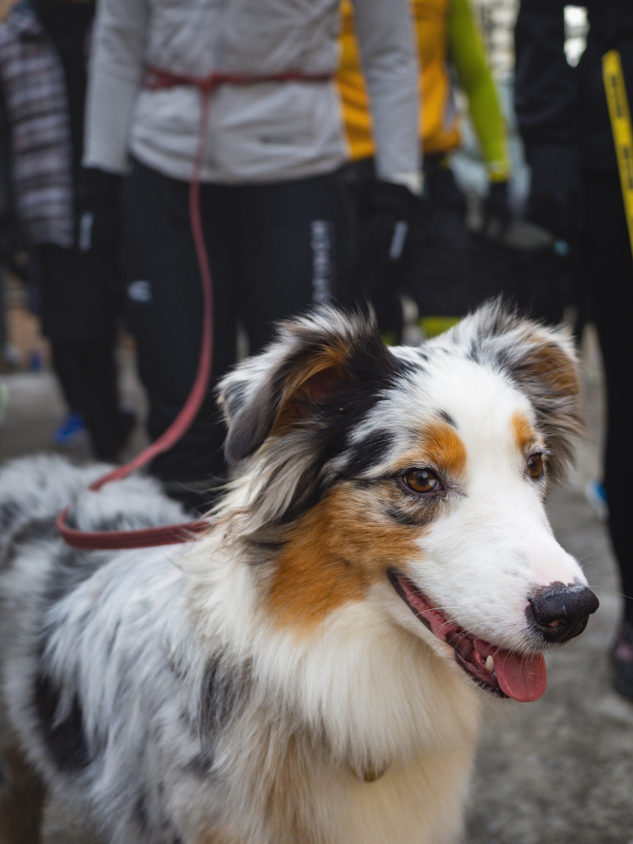 Social Run Community. M. Neizvestniy — уличная и спортивная фотография