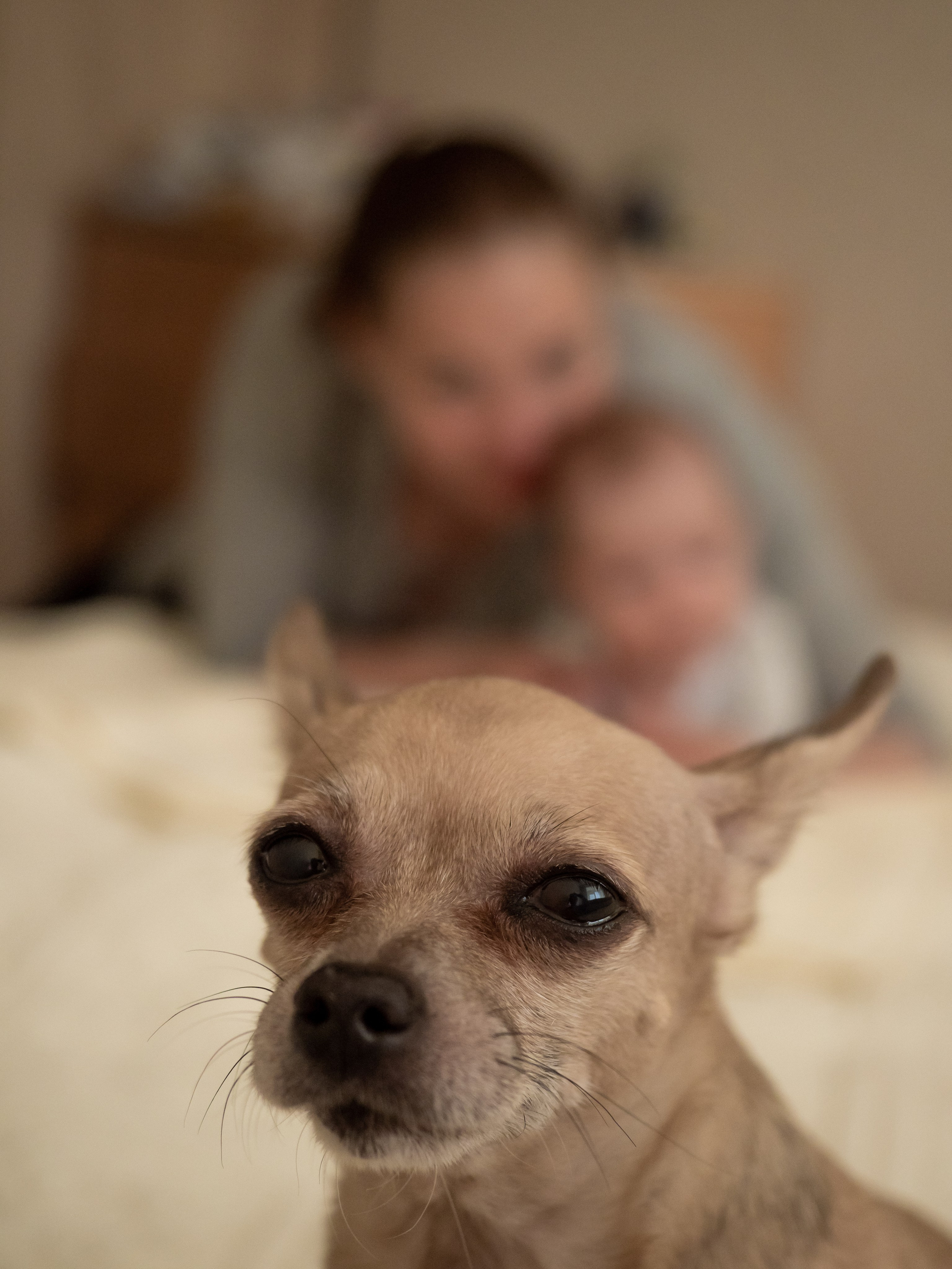 Оля и Ярослав. Фотограф в Омске Долговых Катерина