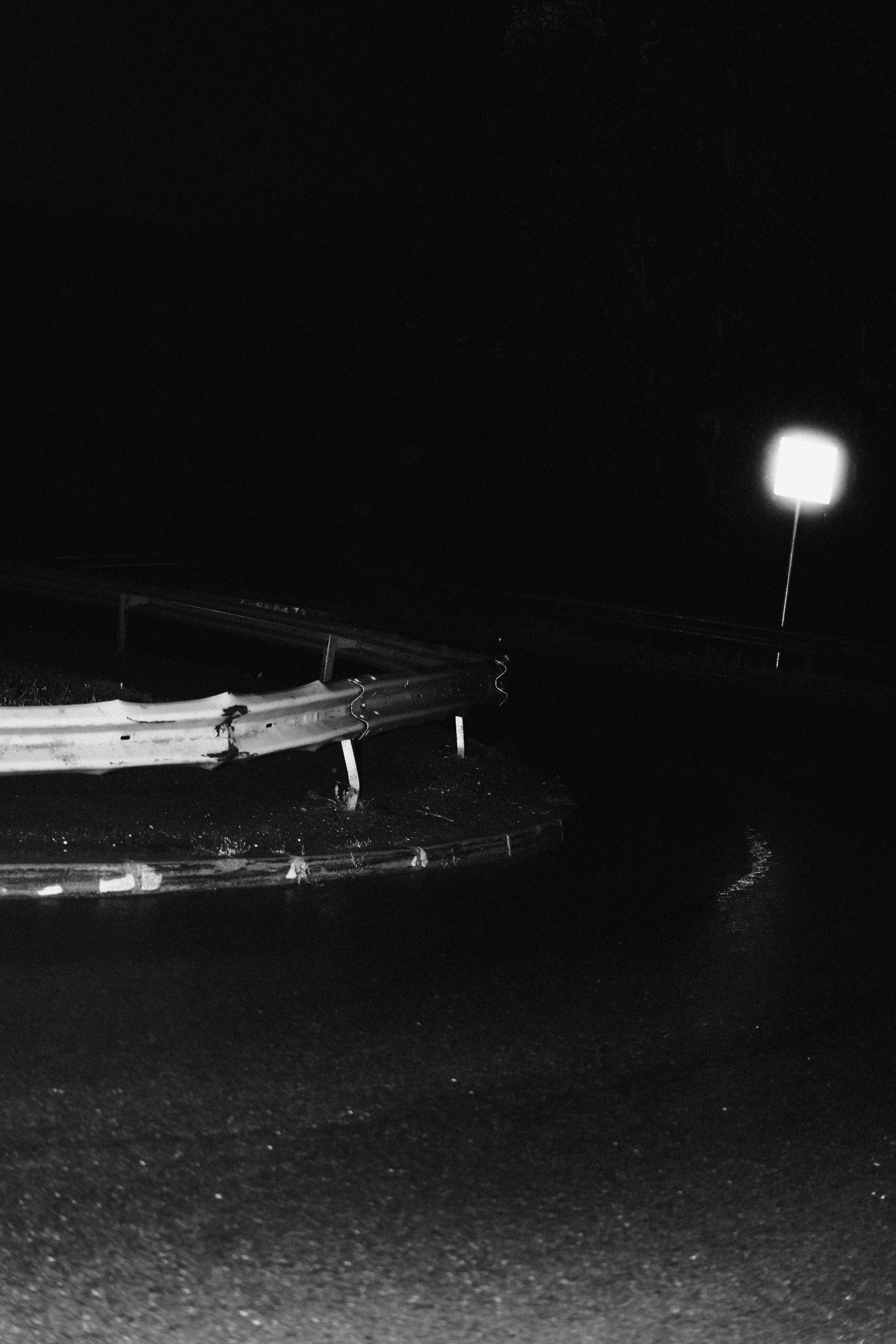 Прогулка после дождя. Veronika Popadeikina Photographer