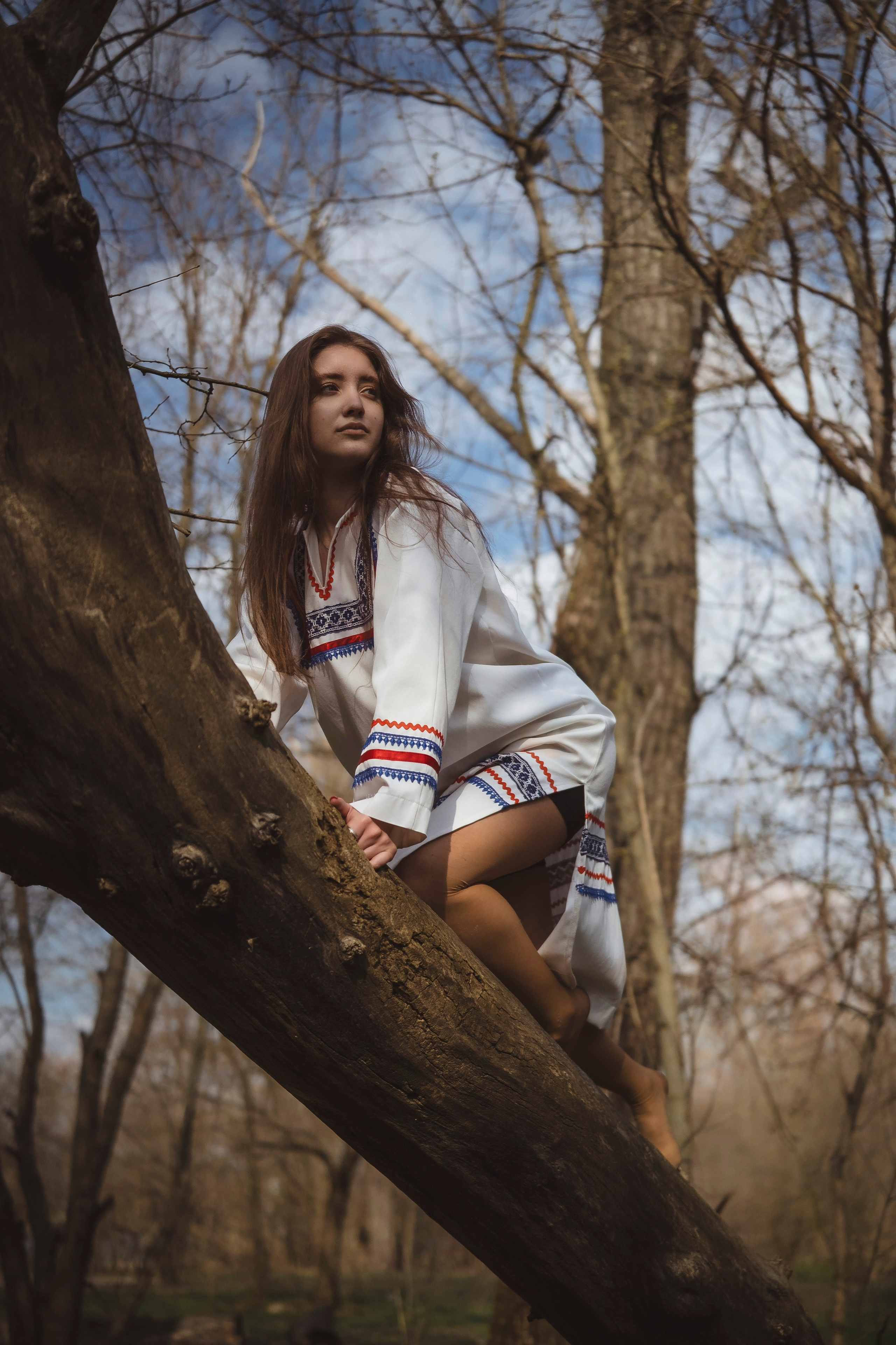 Зеленый остров. Главная