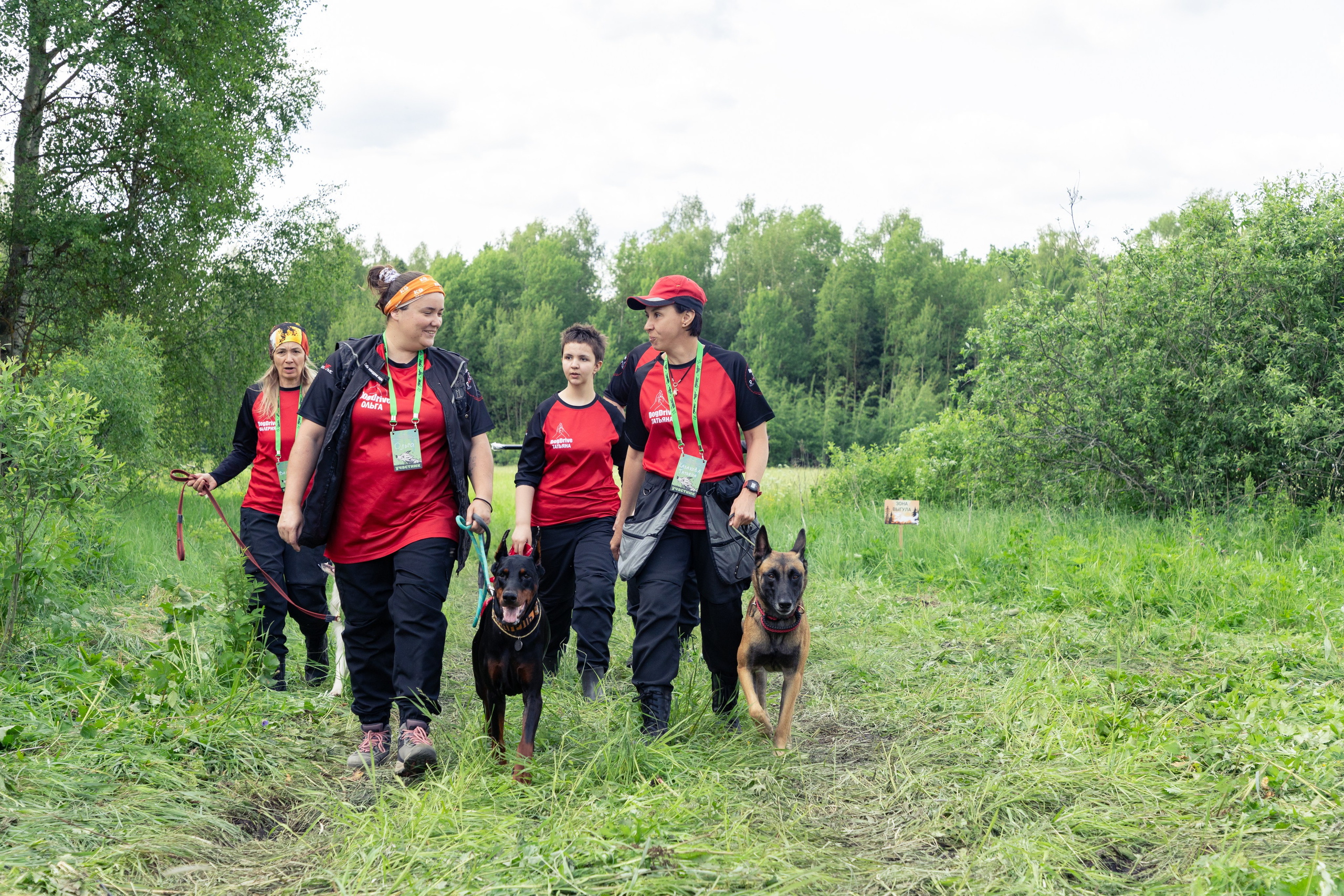 ДПСО «ЛизаАлерт». Главная