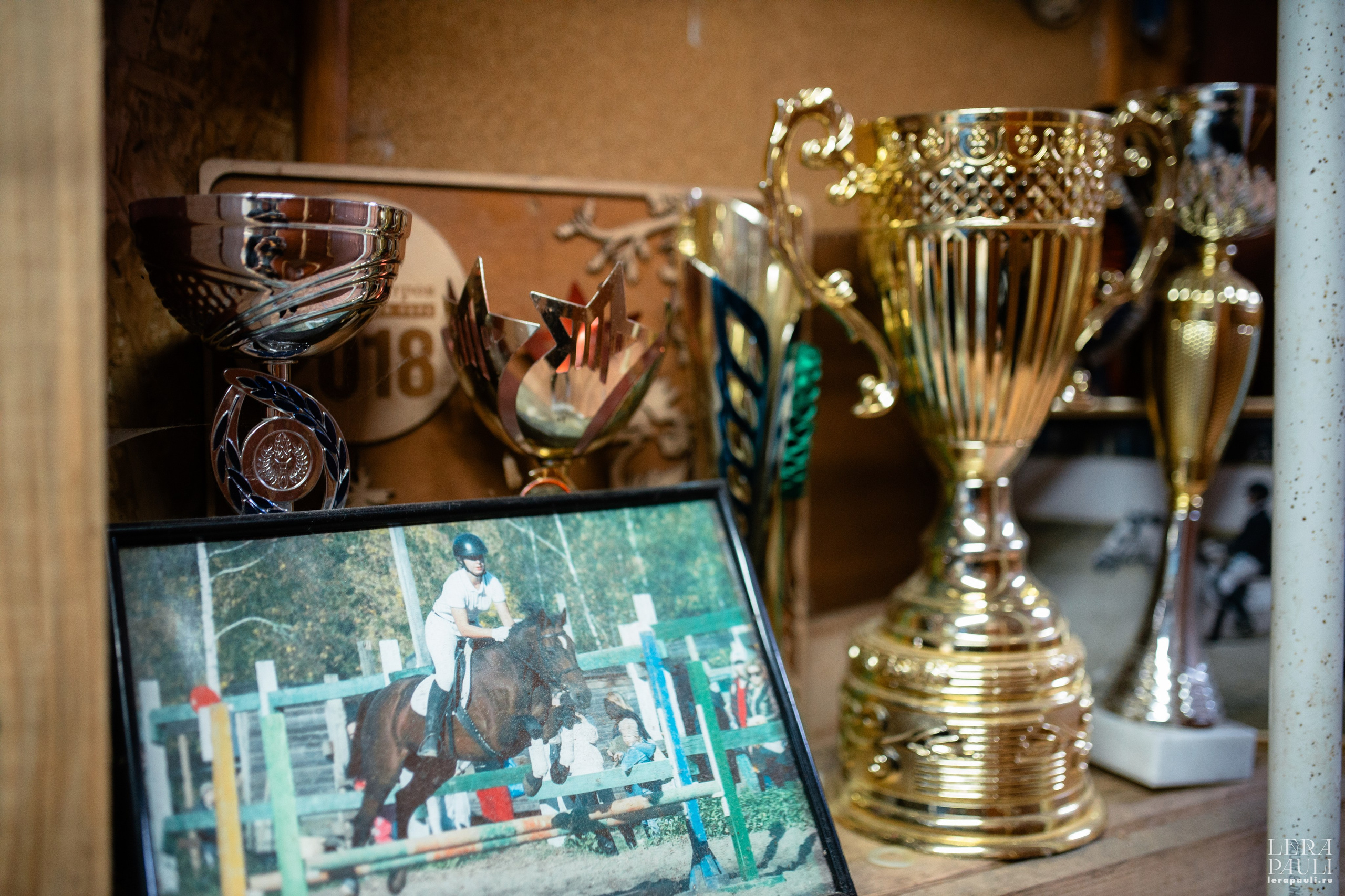 ДПСО «ЛизаАлерт». Главная